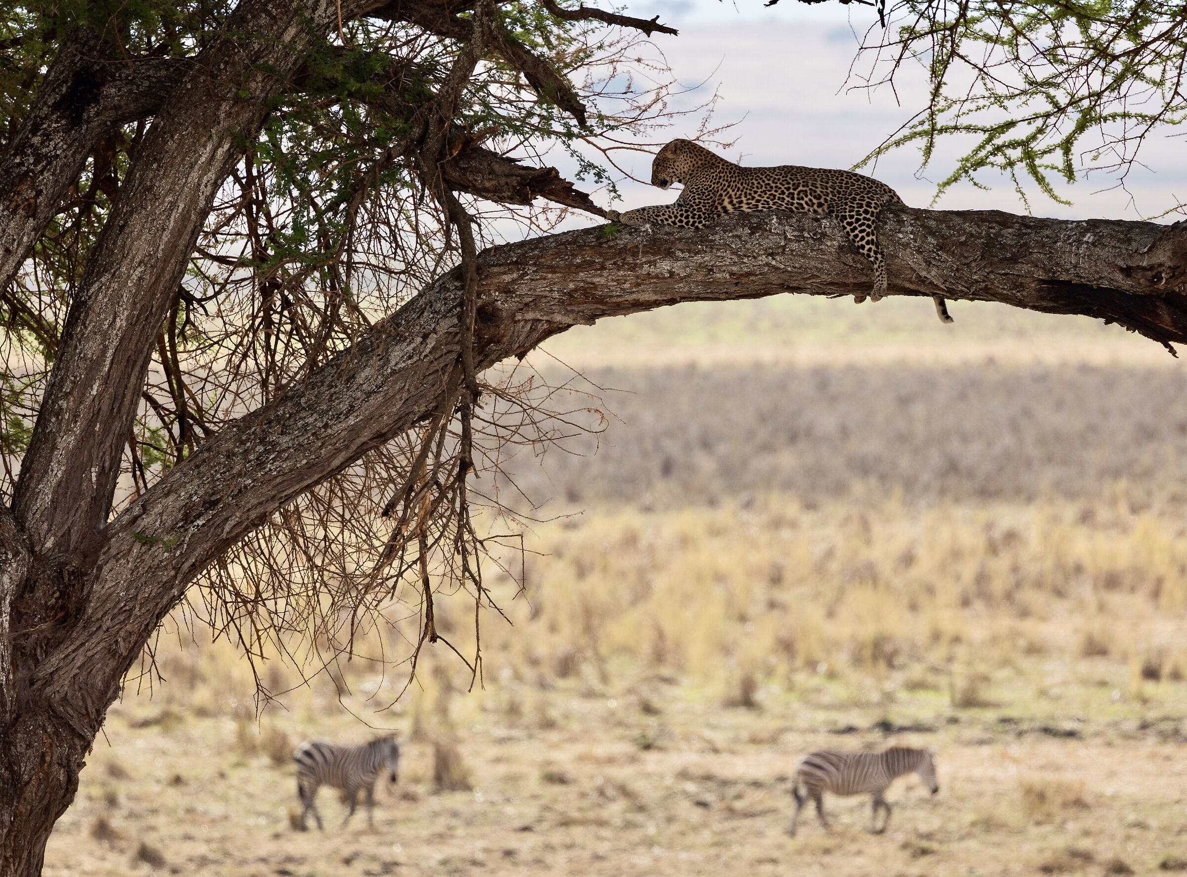 The danger is there, but you can't see it...