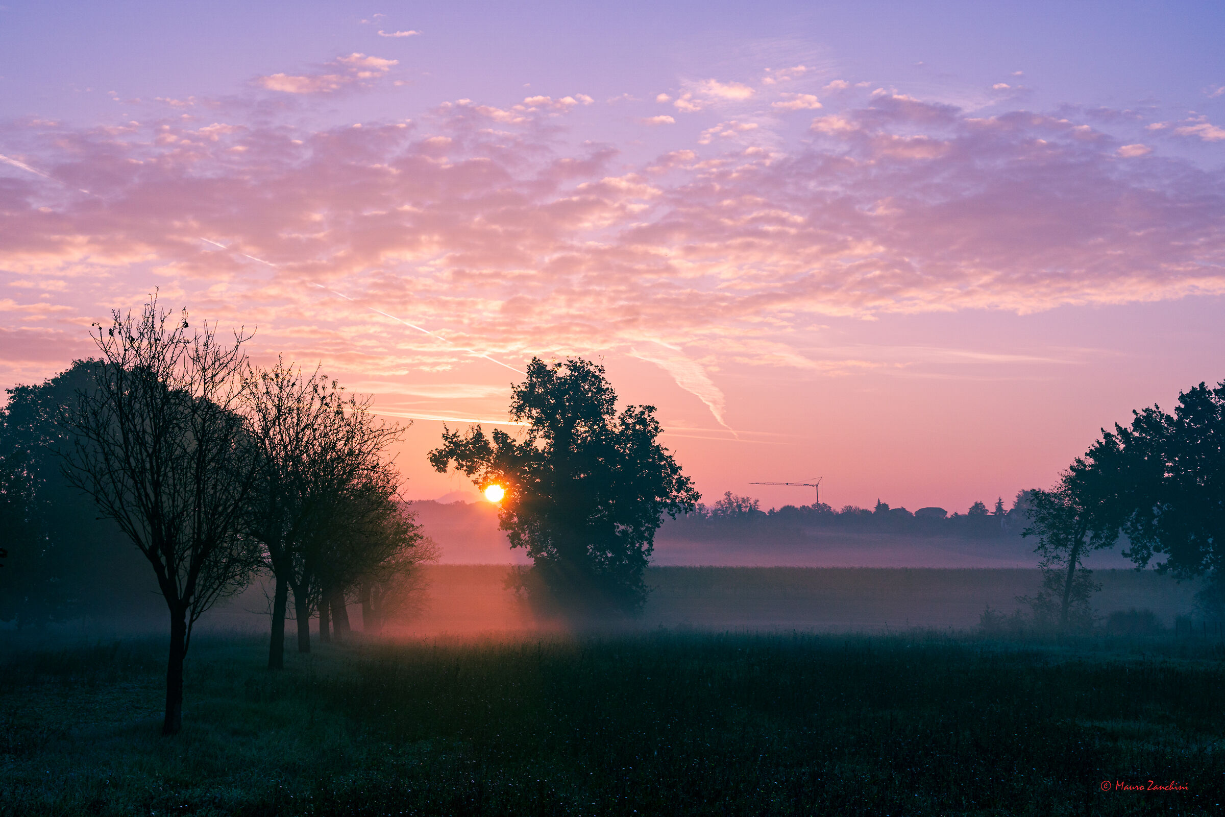 Prime brume mattutine