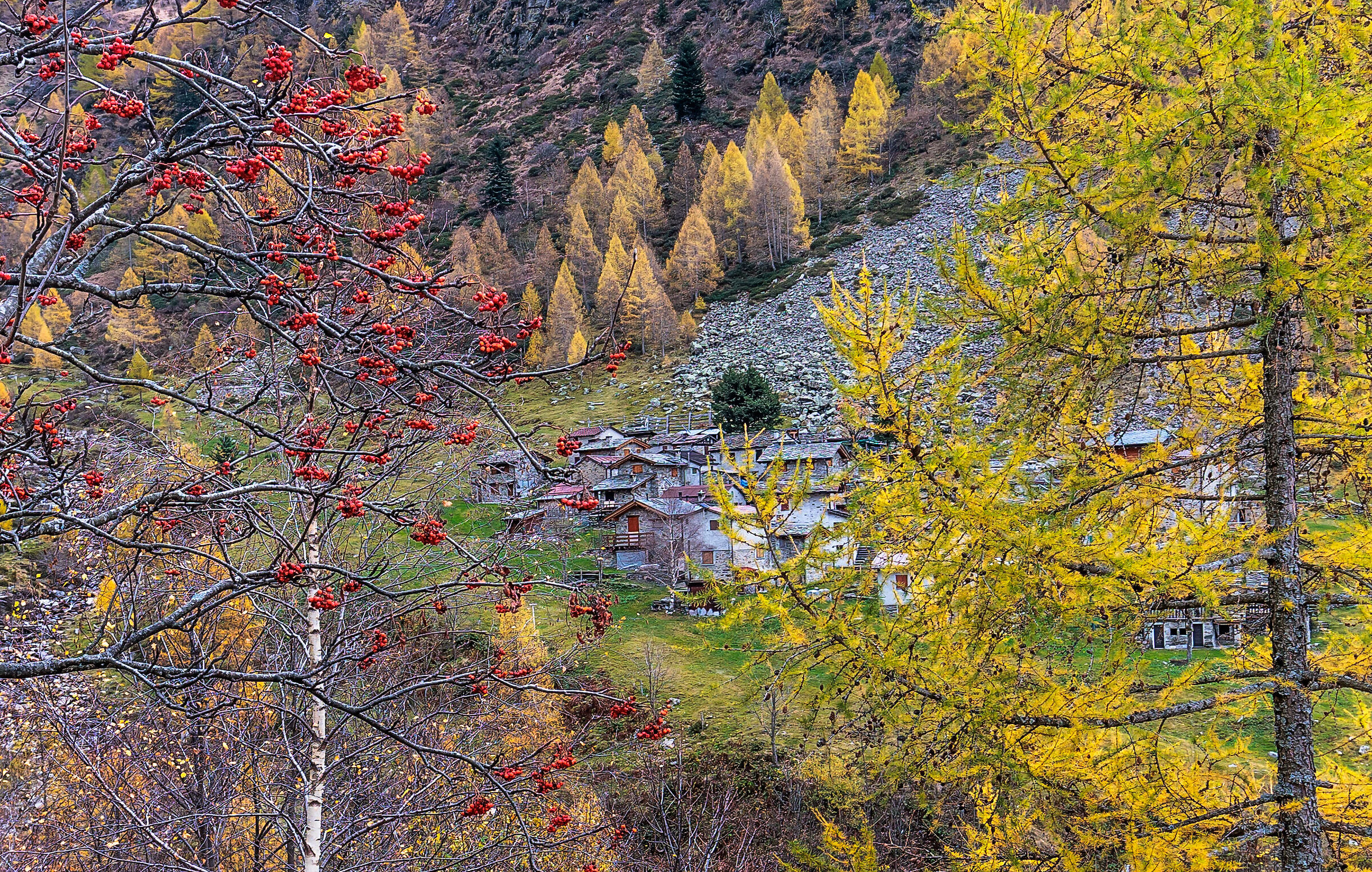Alpe Fraina