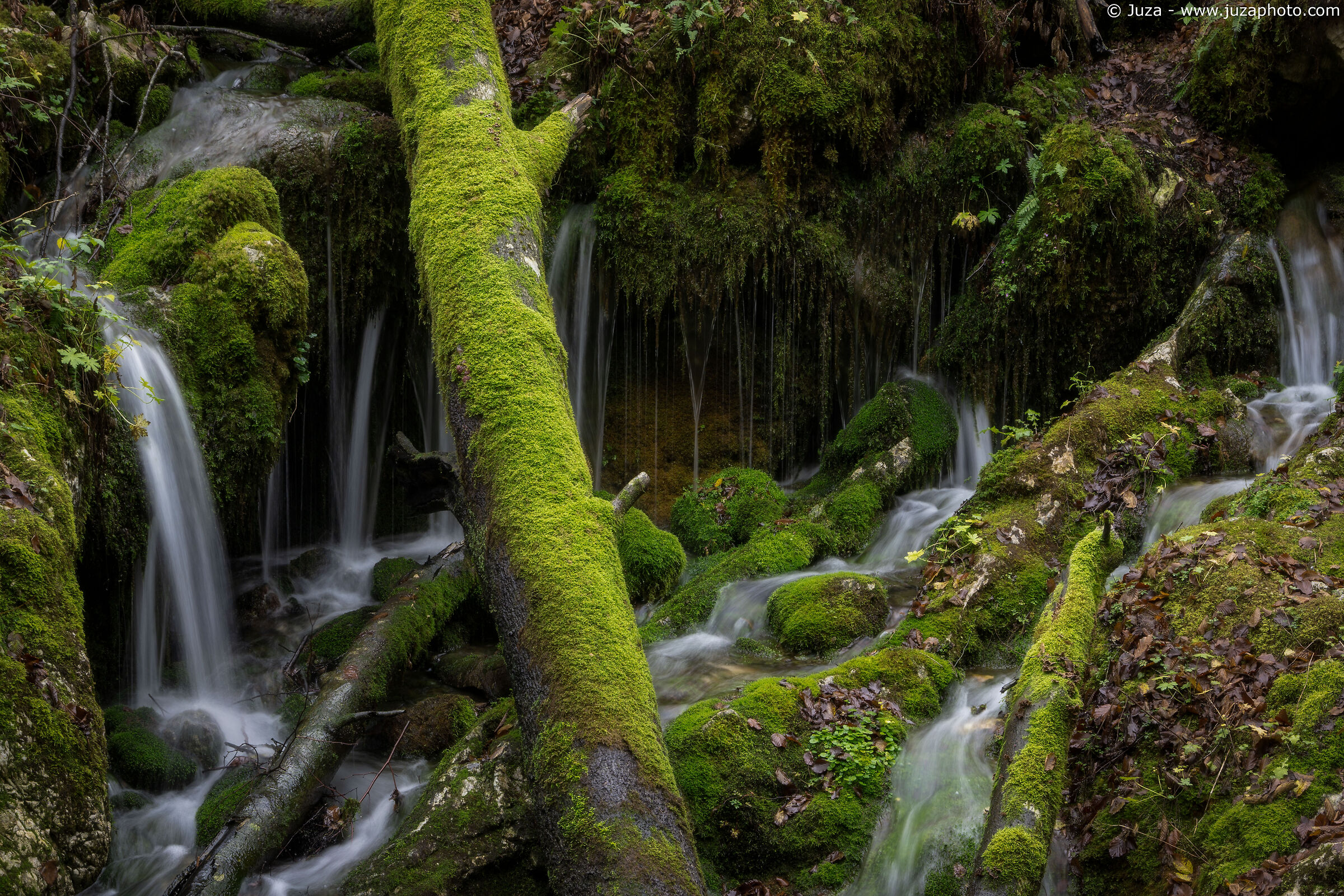 Cascatelle e muschio