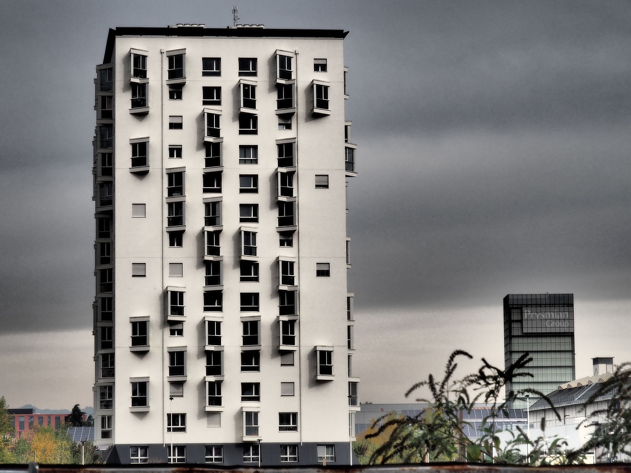 Generazione Digitale