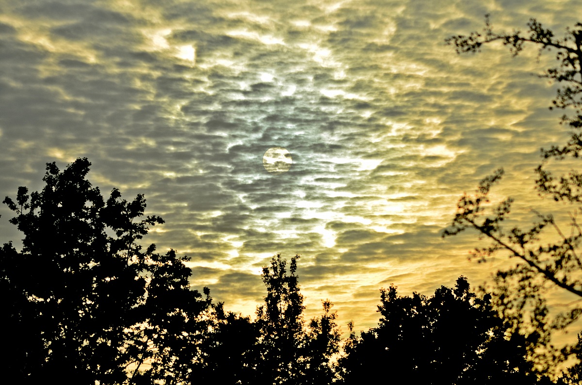 Hidden sun at sunset