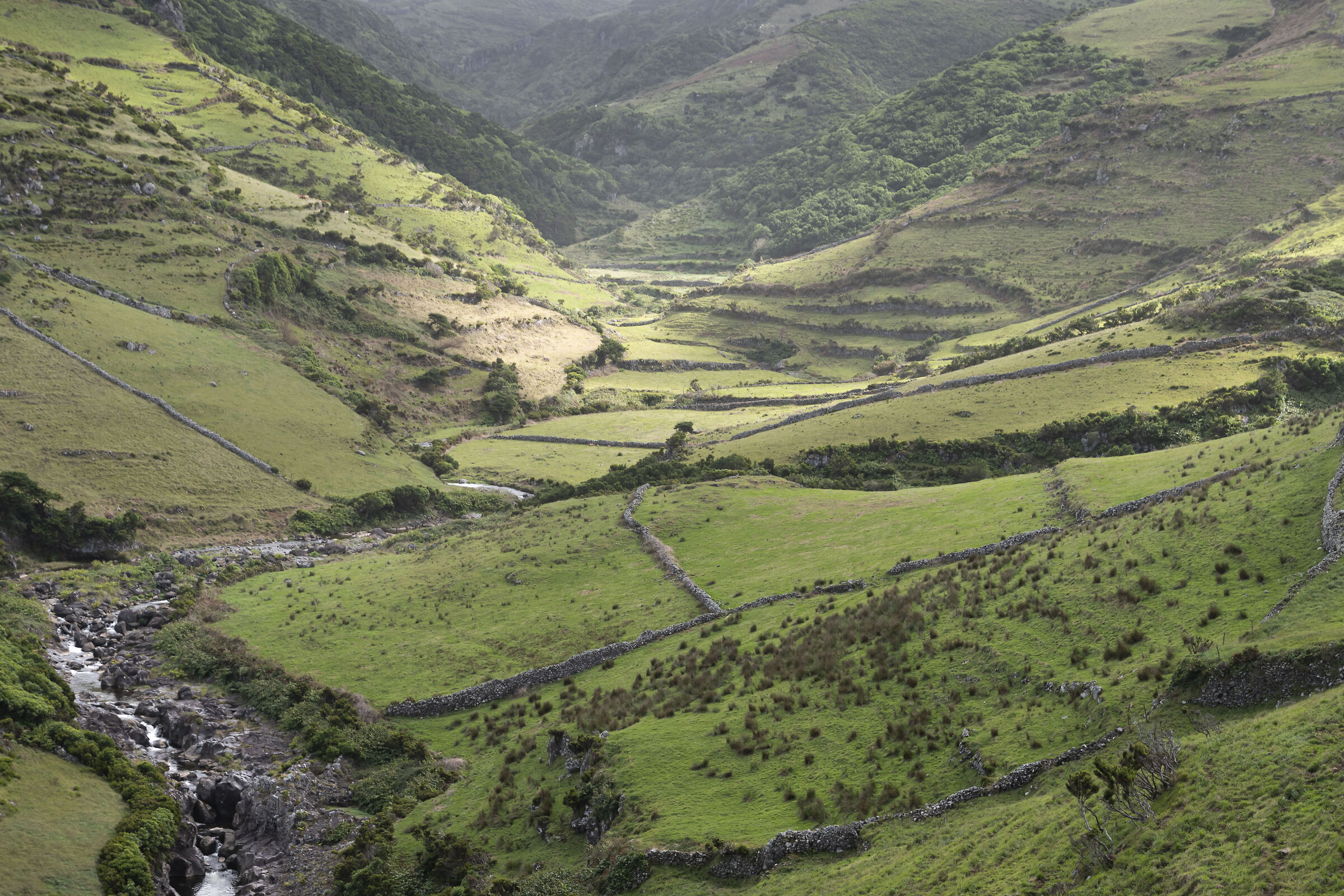 The valley - Flores Island