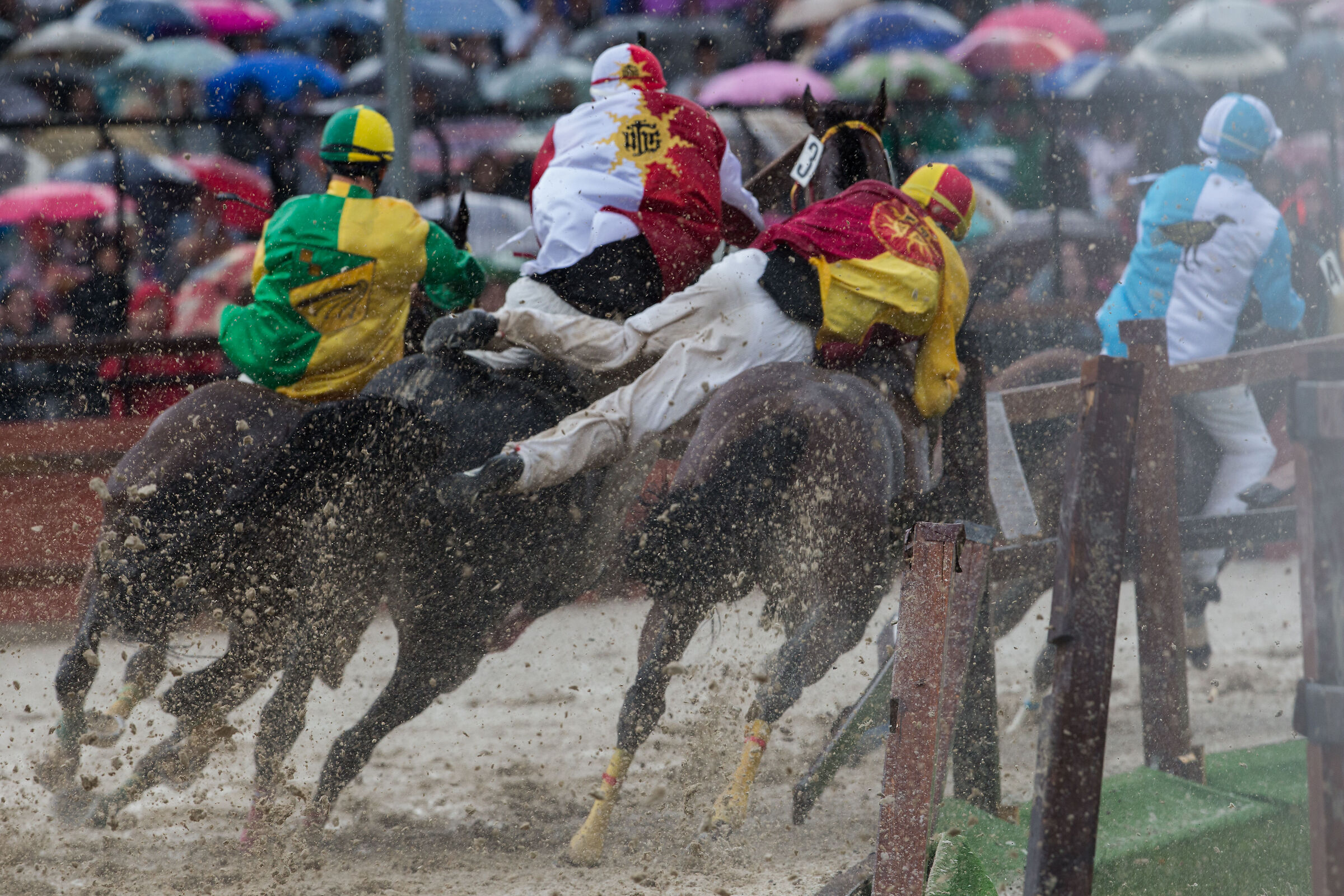 palio