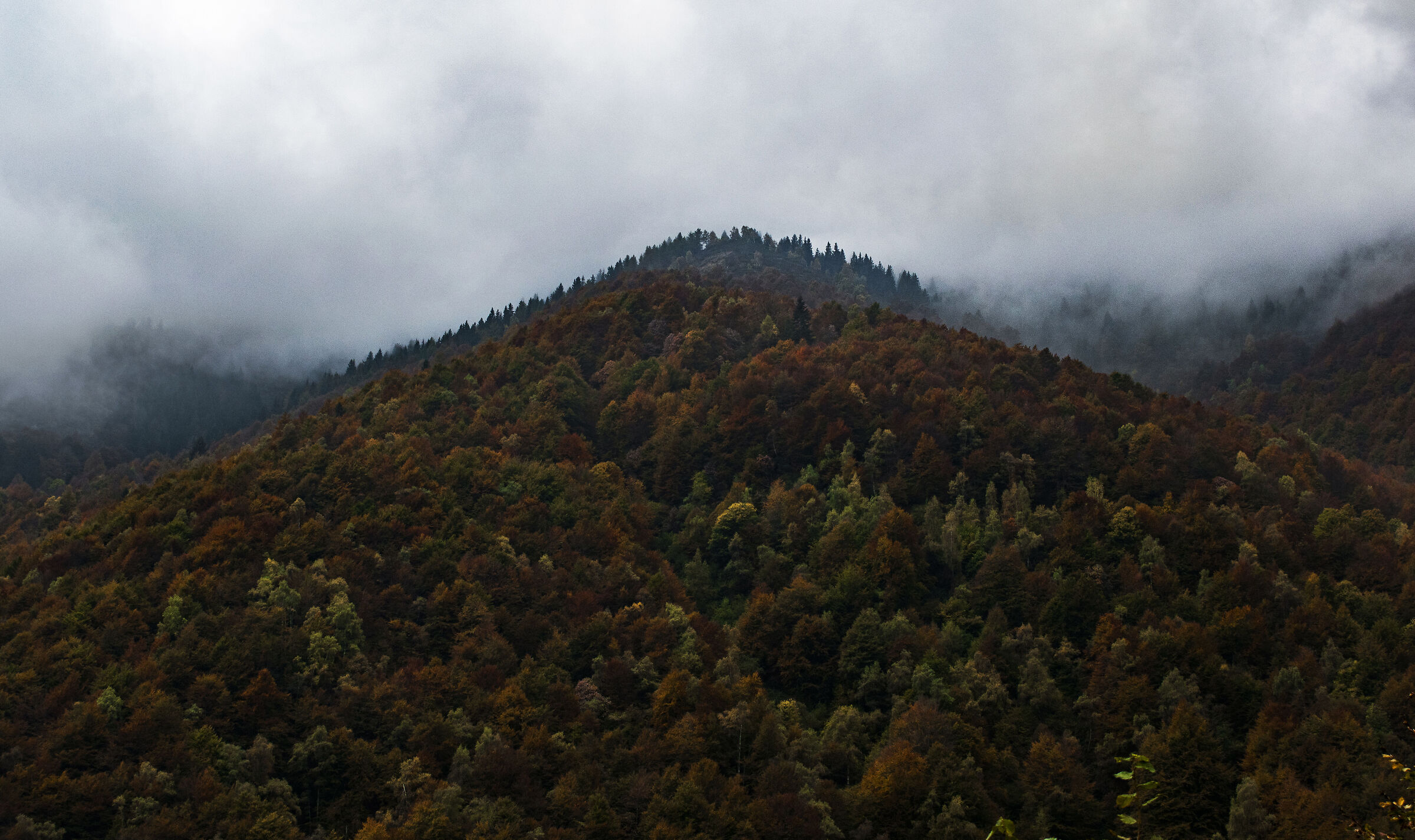 Bosco del Sorriso, Oasi Zegna (Biella)