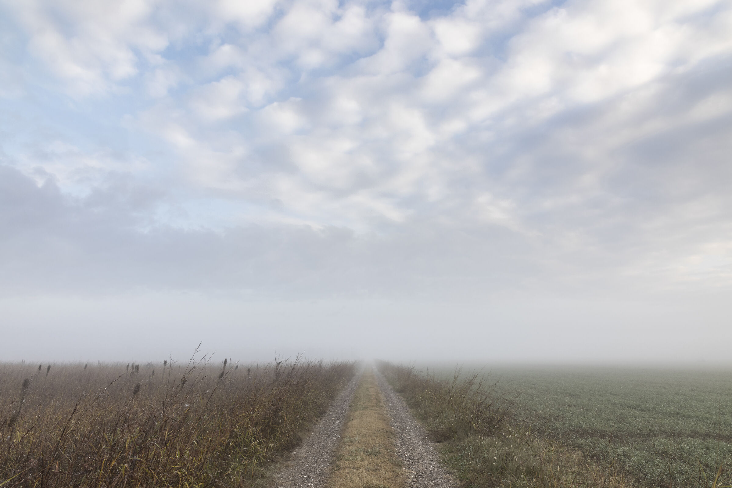 Elusive landscape