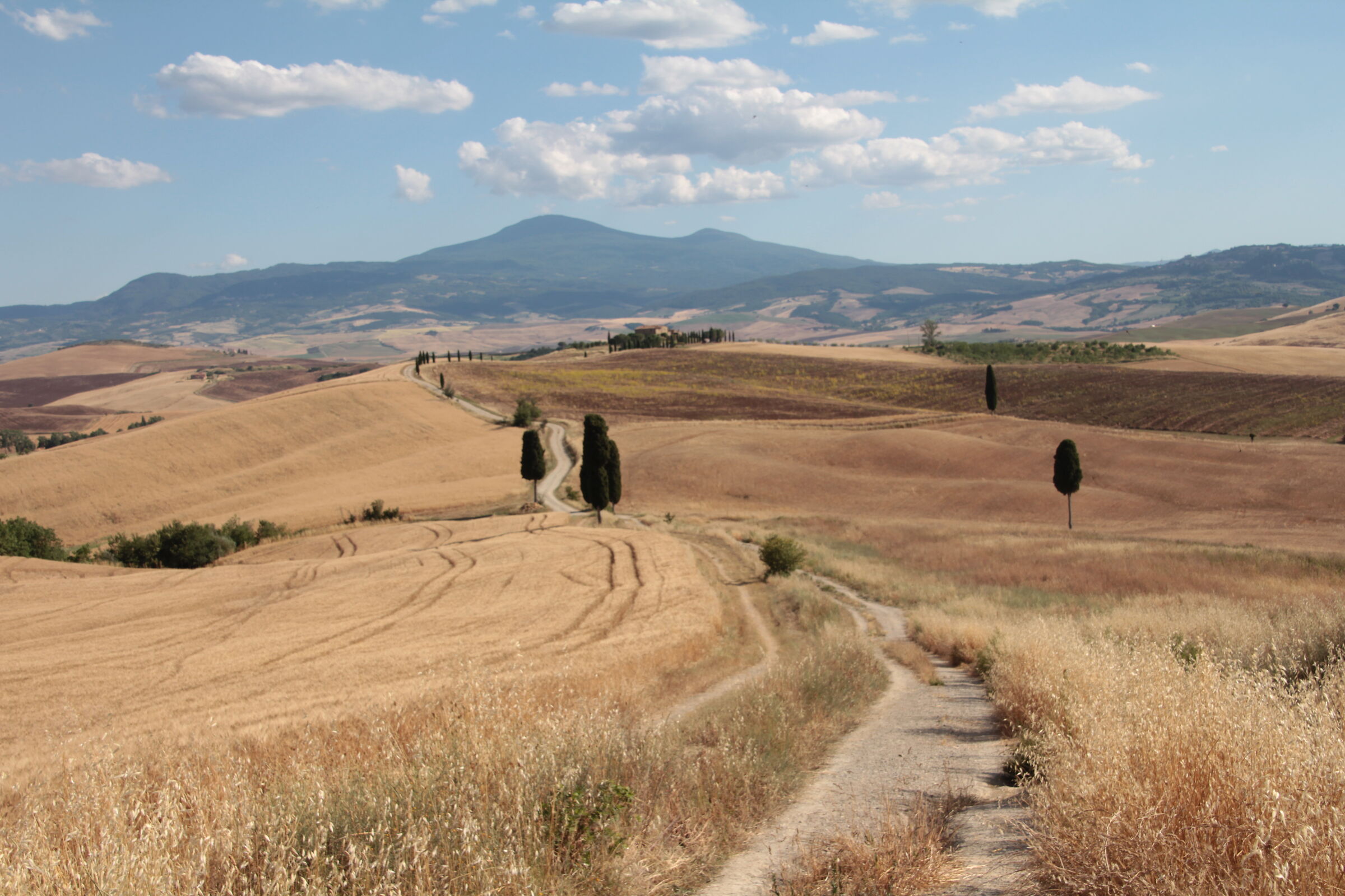 Nelle terre del gladiatore