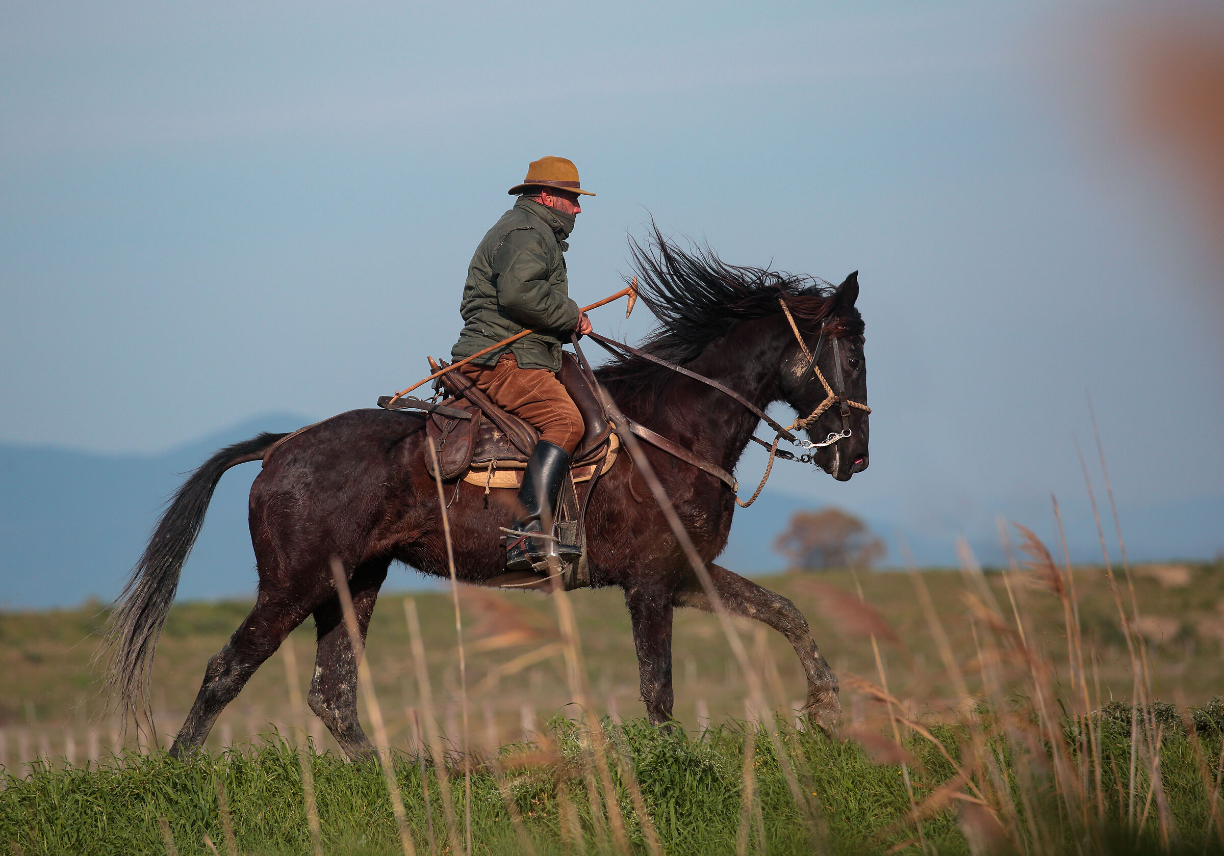 Cowboys of the Maremma Park