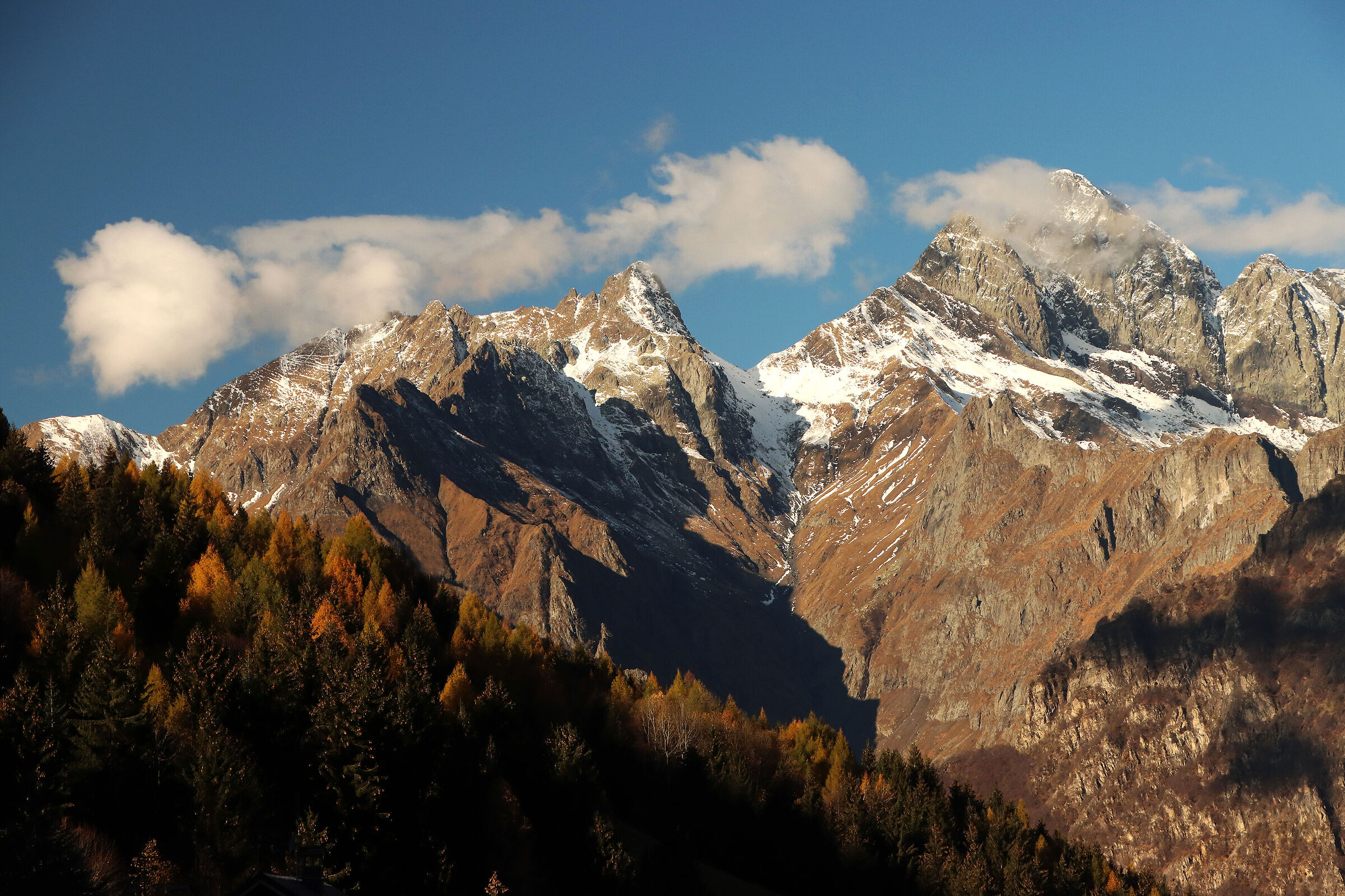 the Devils in the "cotton wool"