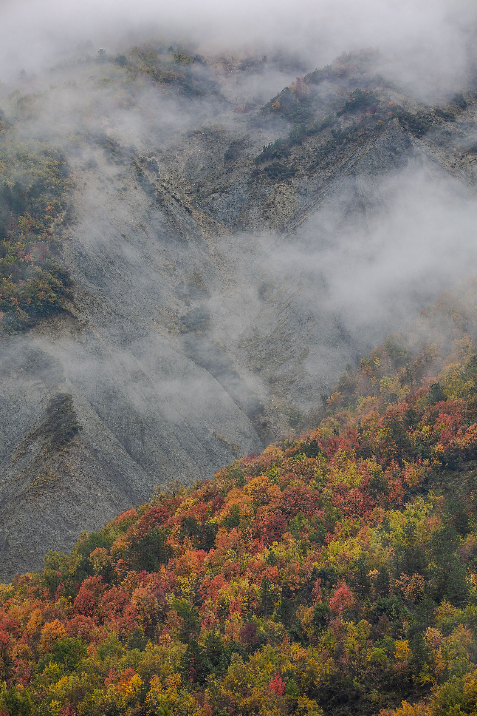 Autunno meraviglioso
