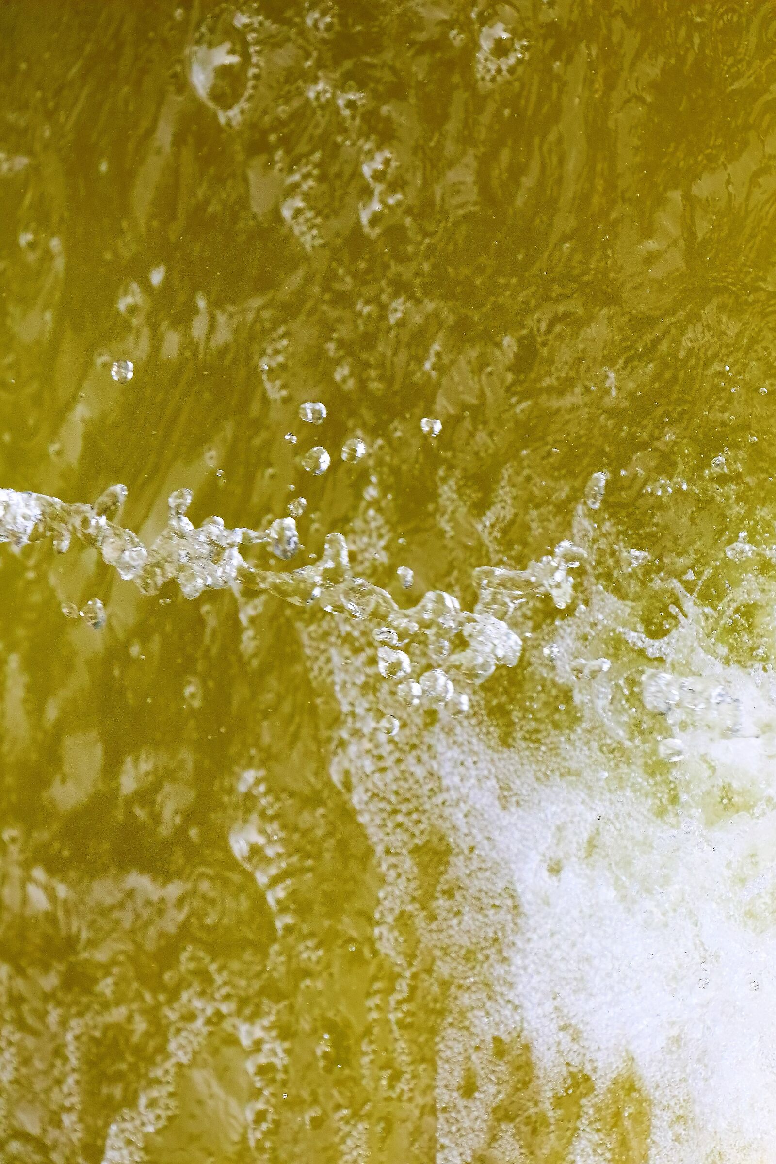 Bruxelles 16-08-2022