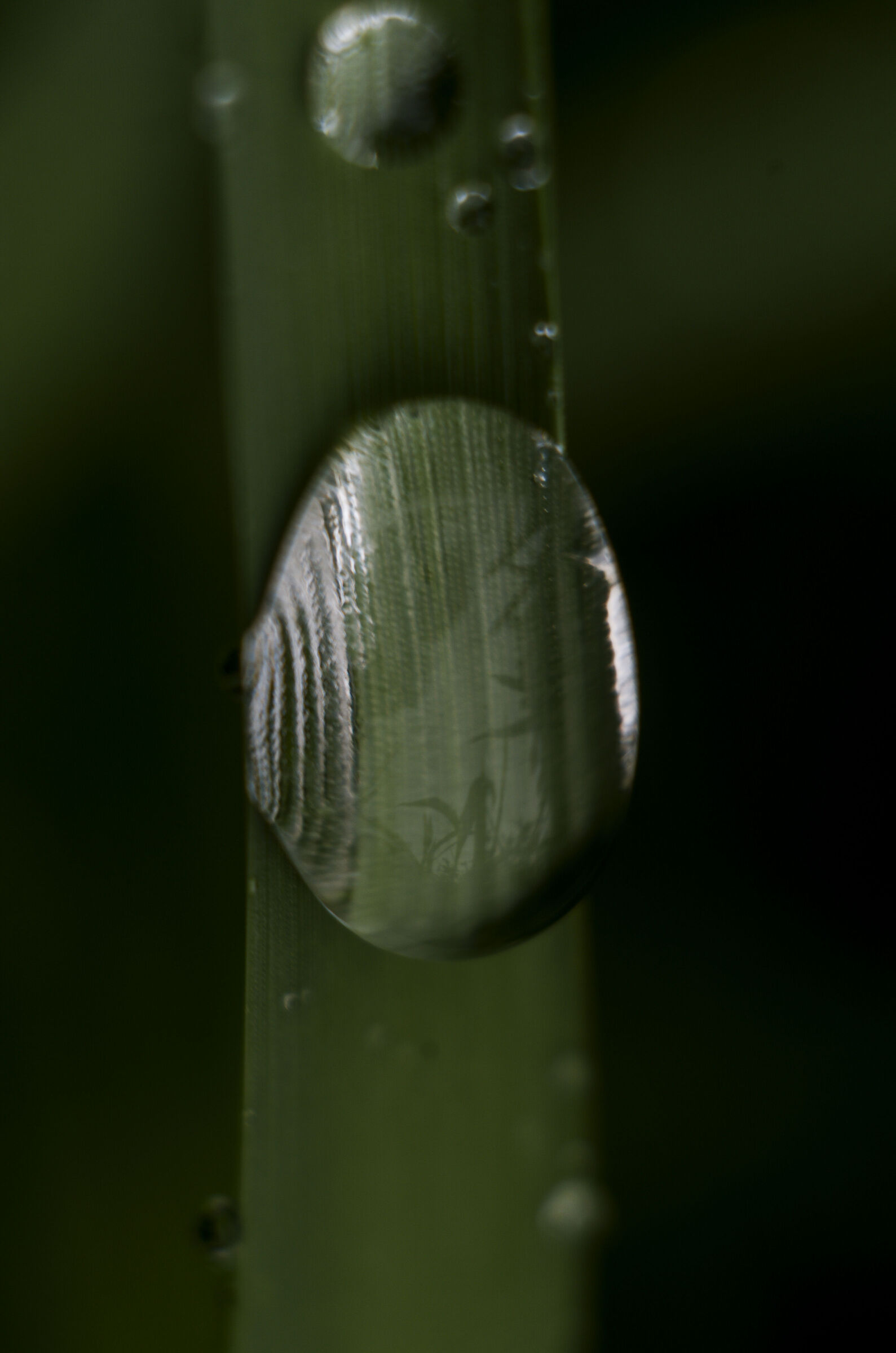 FED Industar 26M 50mm f2.8, Pentax k70