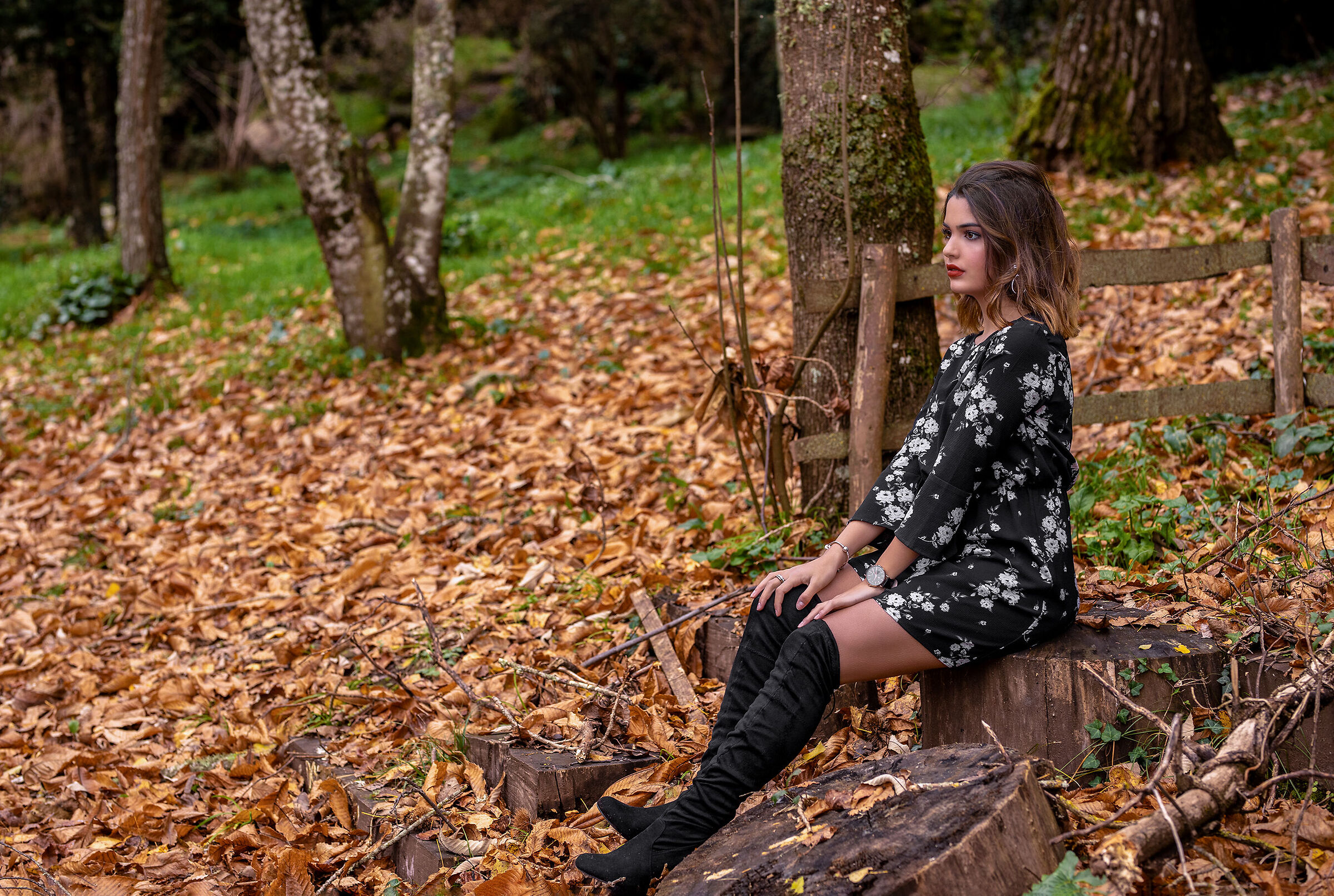 La bellezza dell'autunno