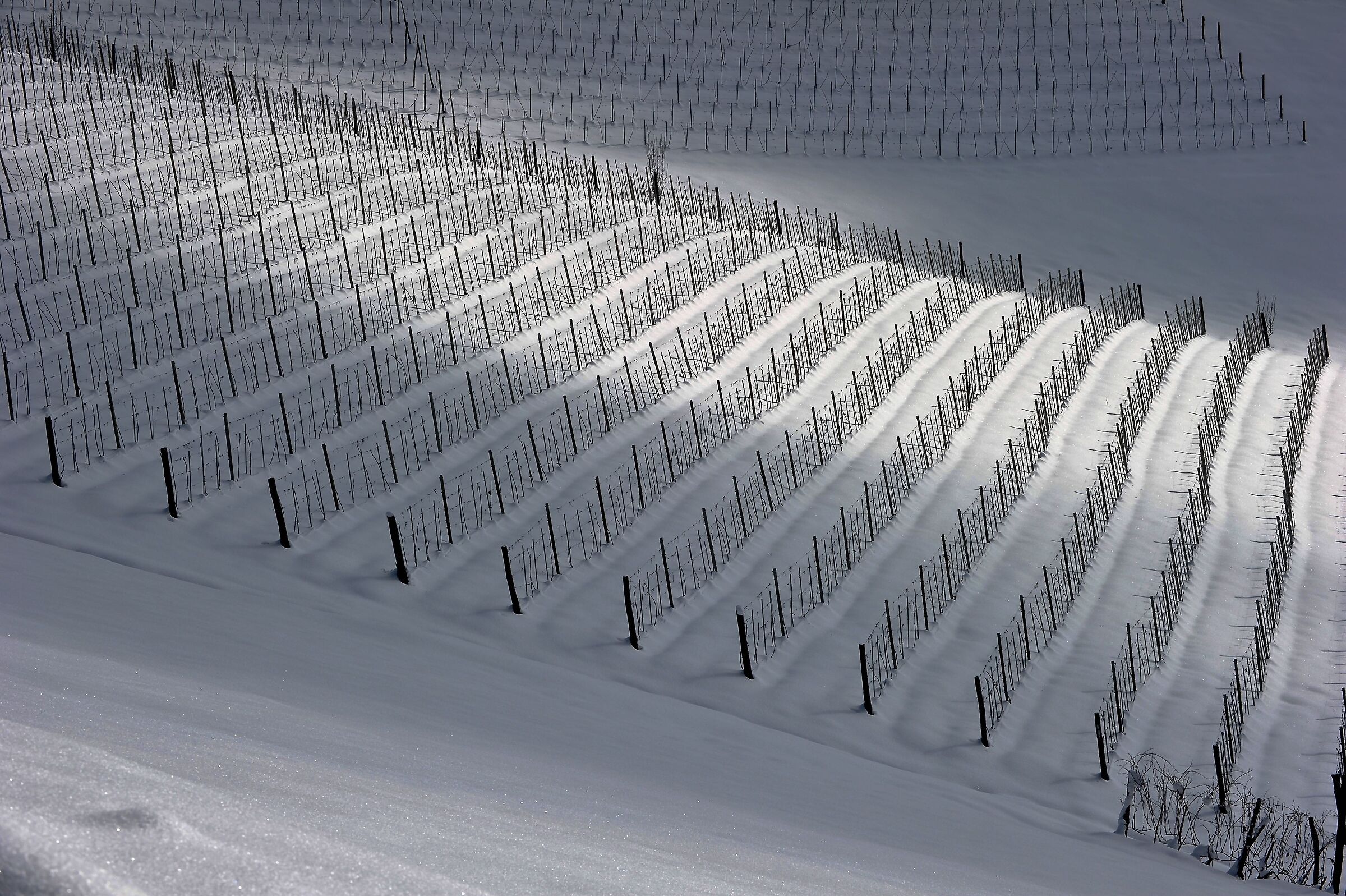 tra Langhe e Monferrato