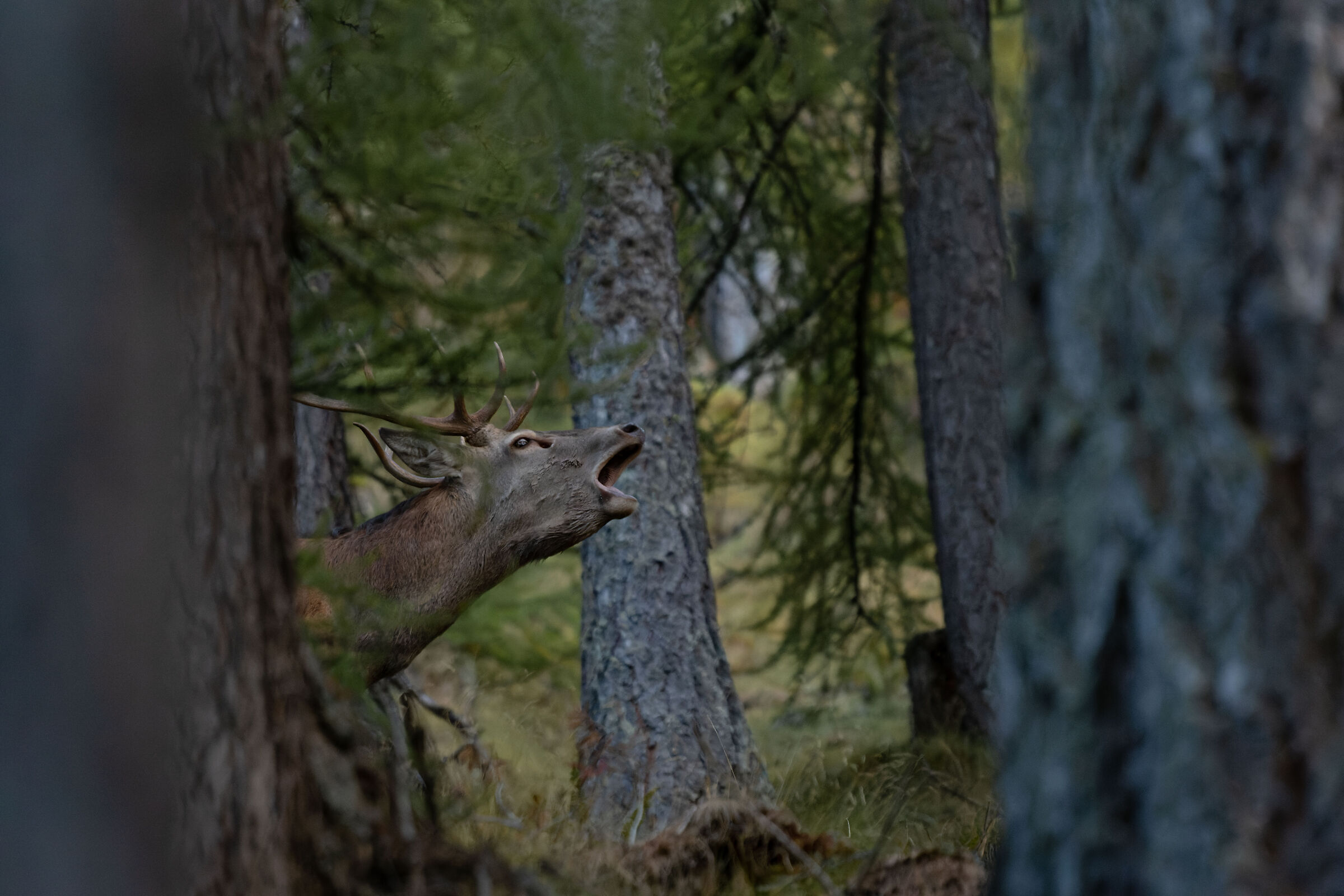Untitled Photo