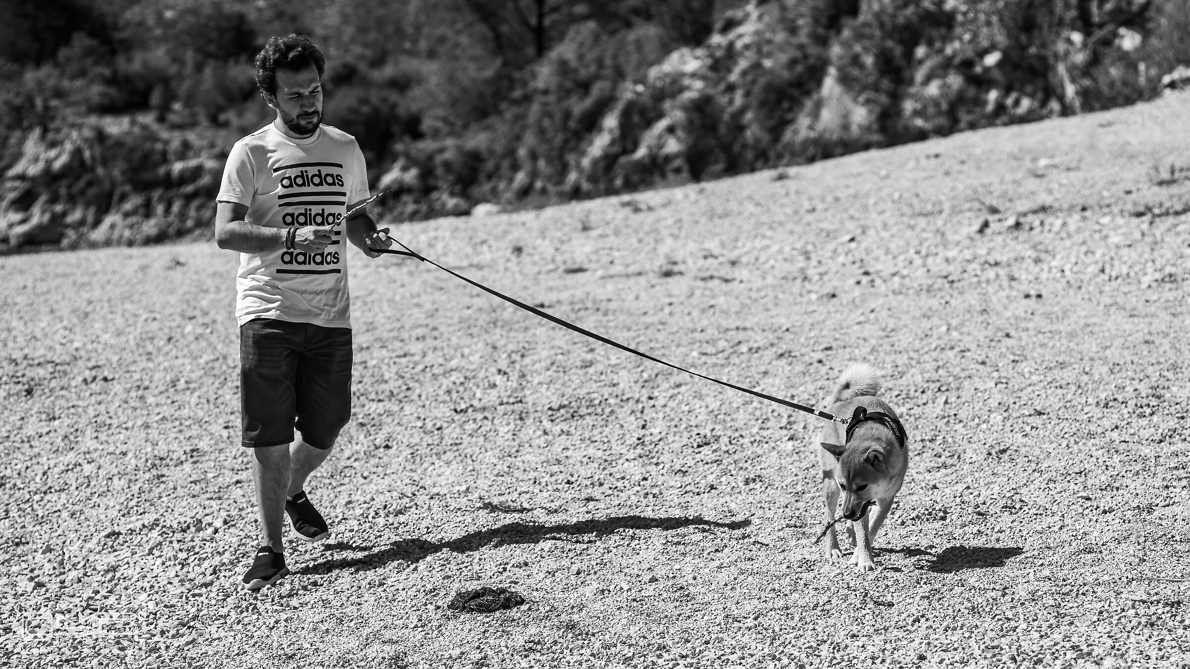 Walking...