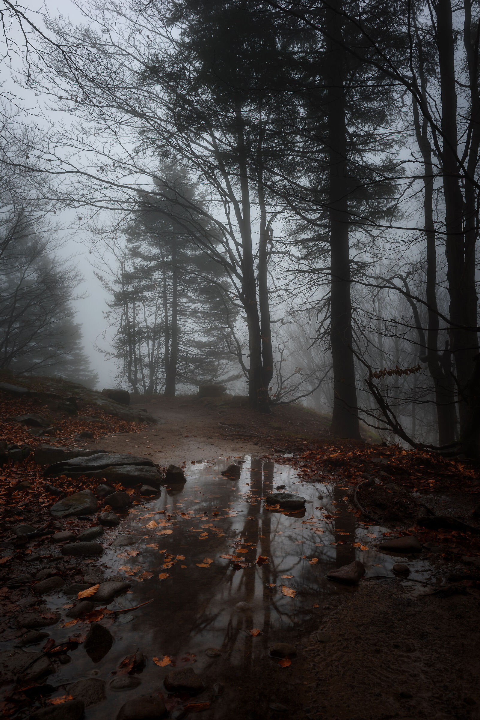 Loneliness