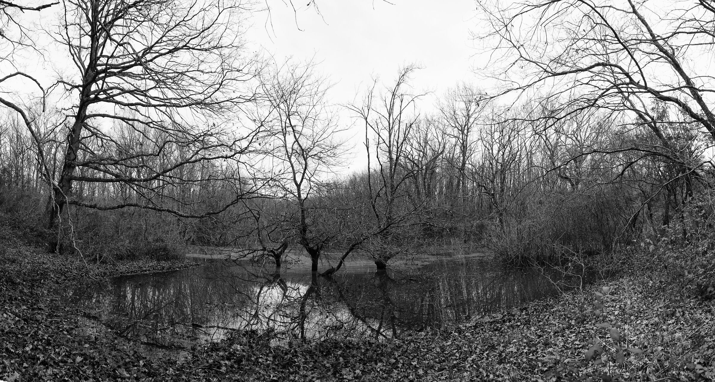Oasis of Foglino - Nettuno