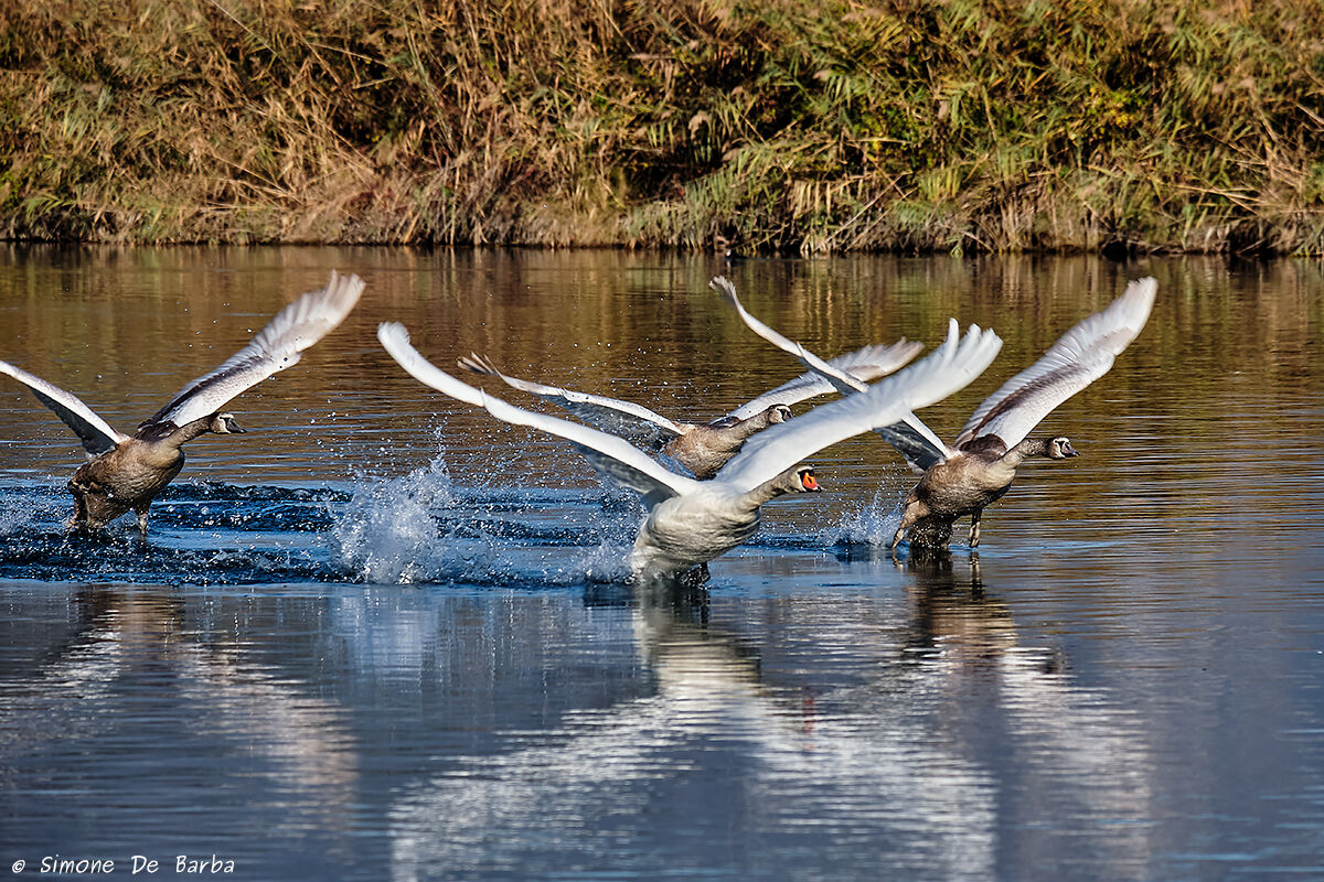 Come on guys, do we do who gets there first?