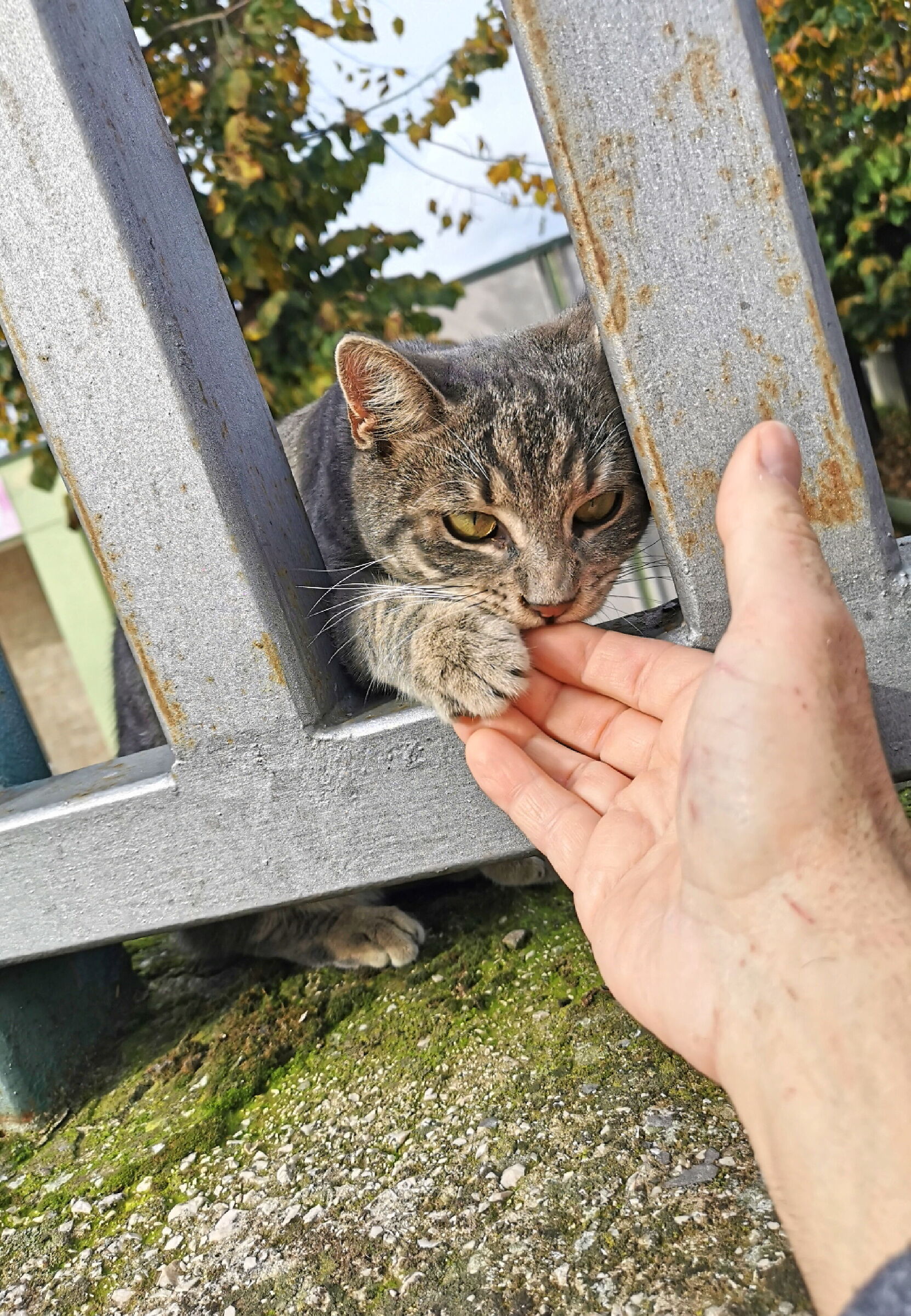 Oggi non voglio lasciarti andare...