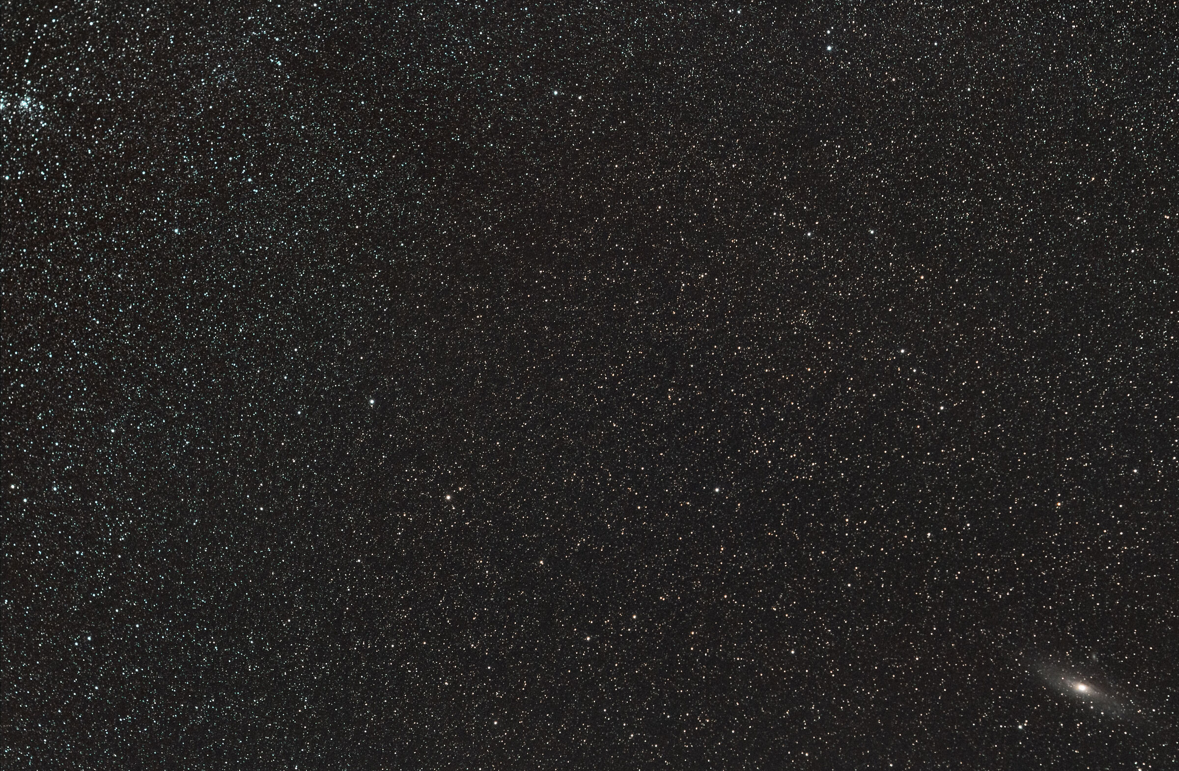 Andromeda a campo largo