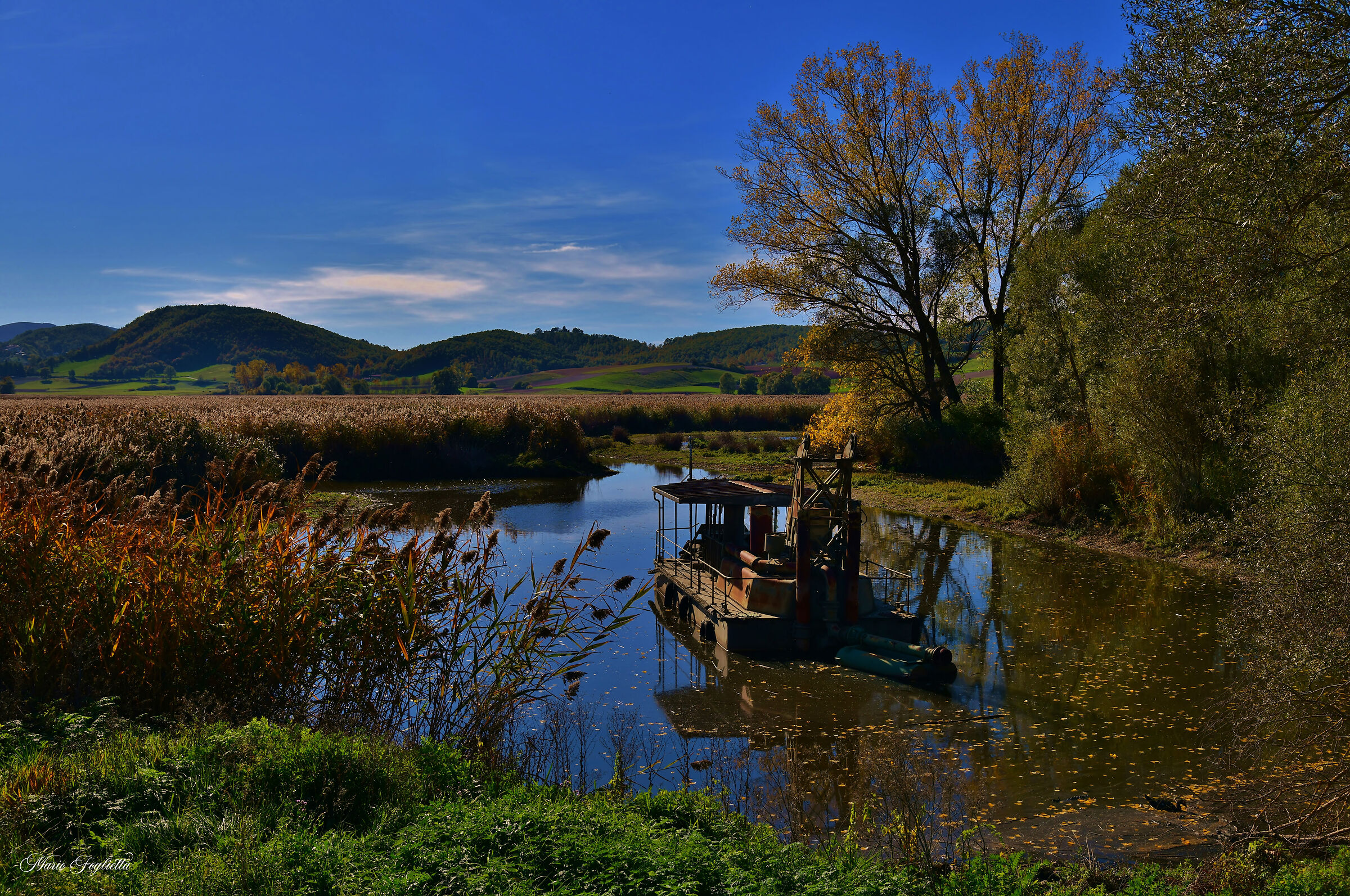 L'autunno in palude
