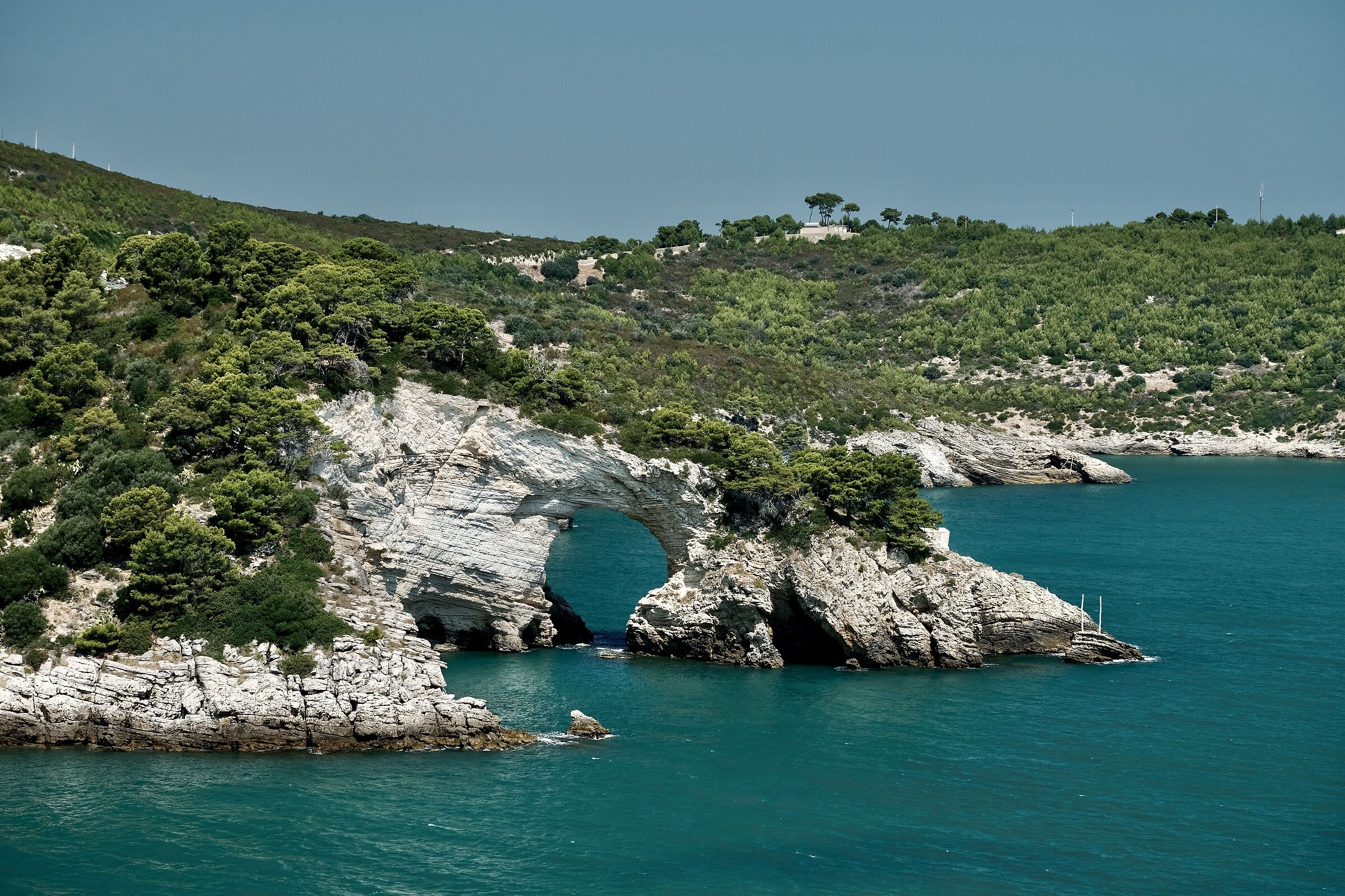 Gargano (Italy)