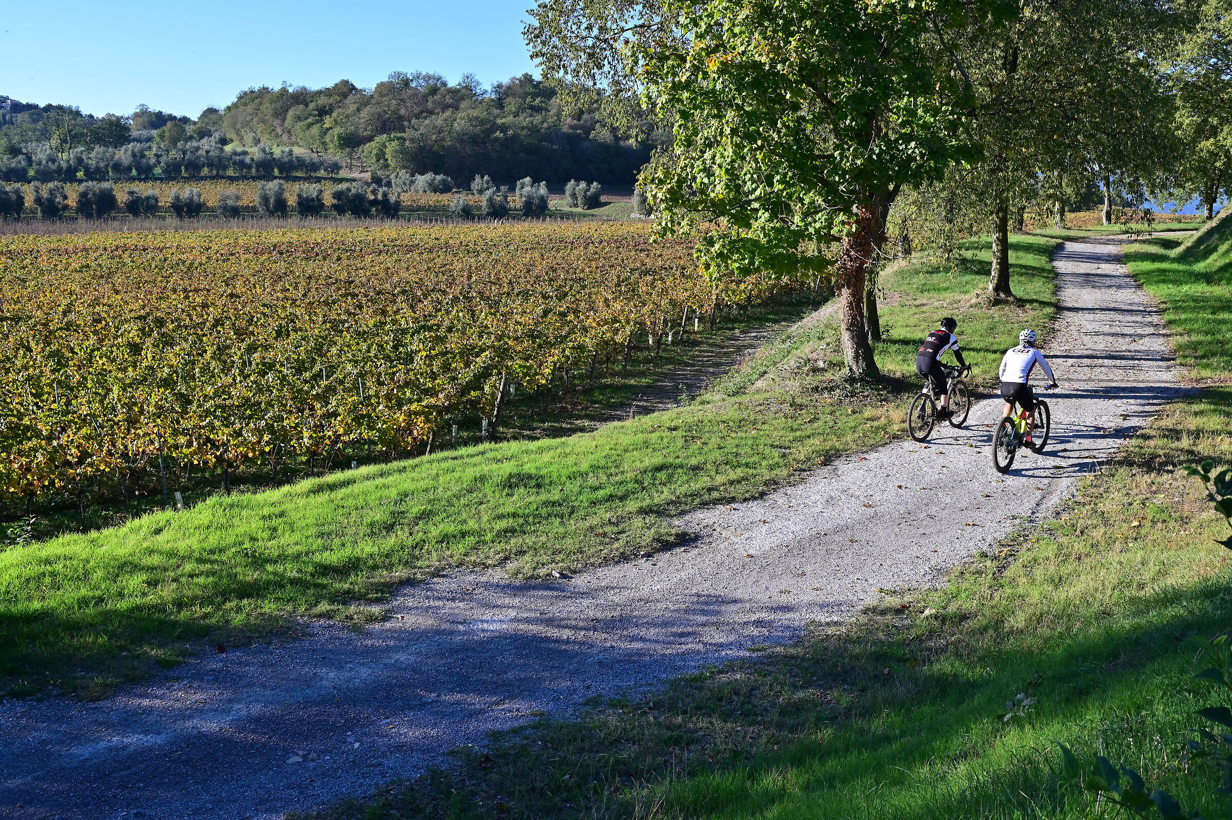 A ride in Franciacorta.