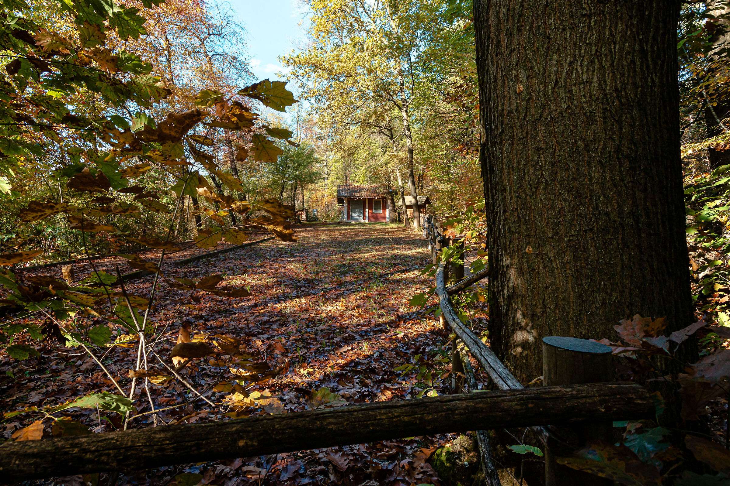 The House of Hunters