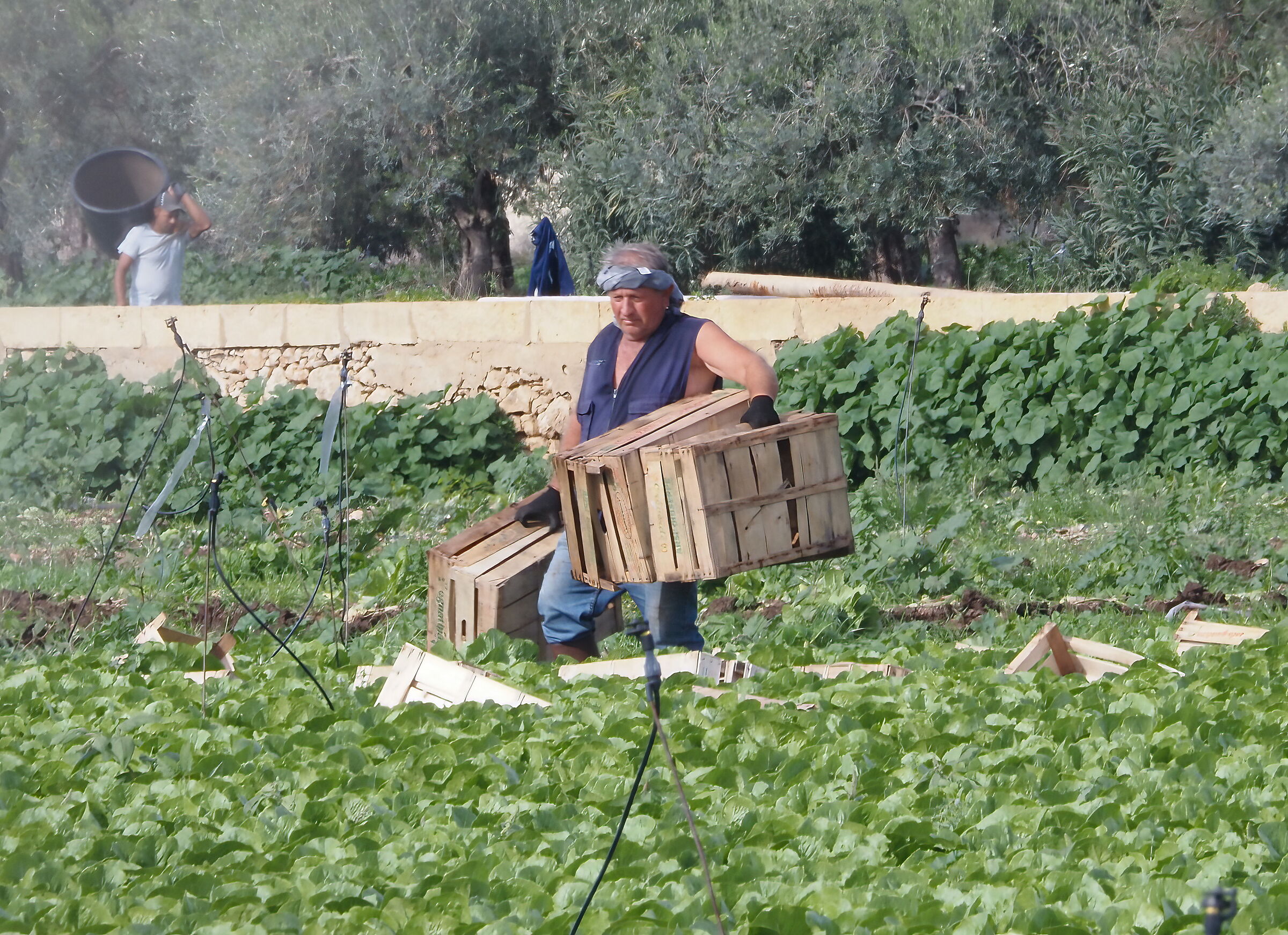 In the countryside