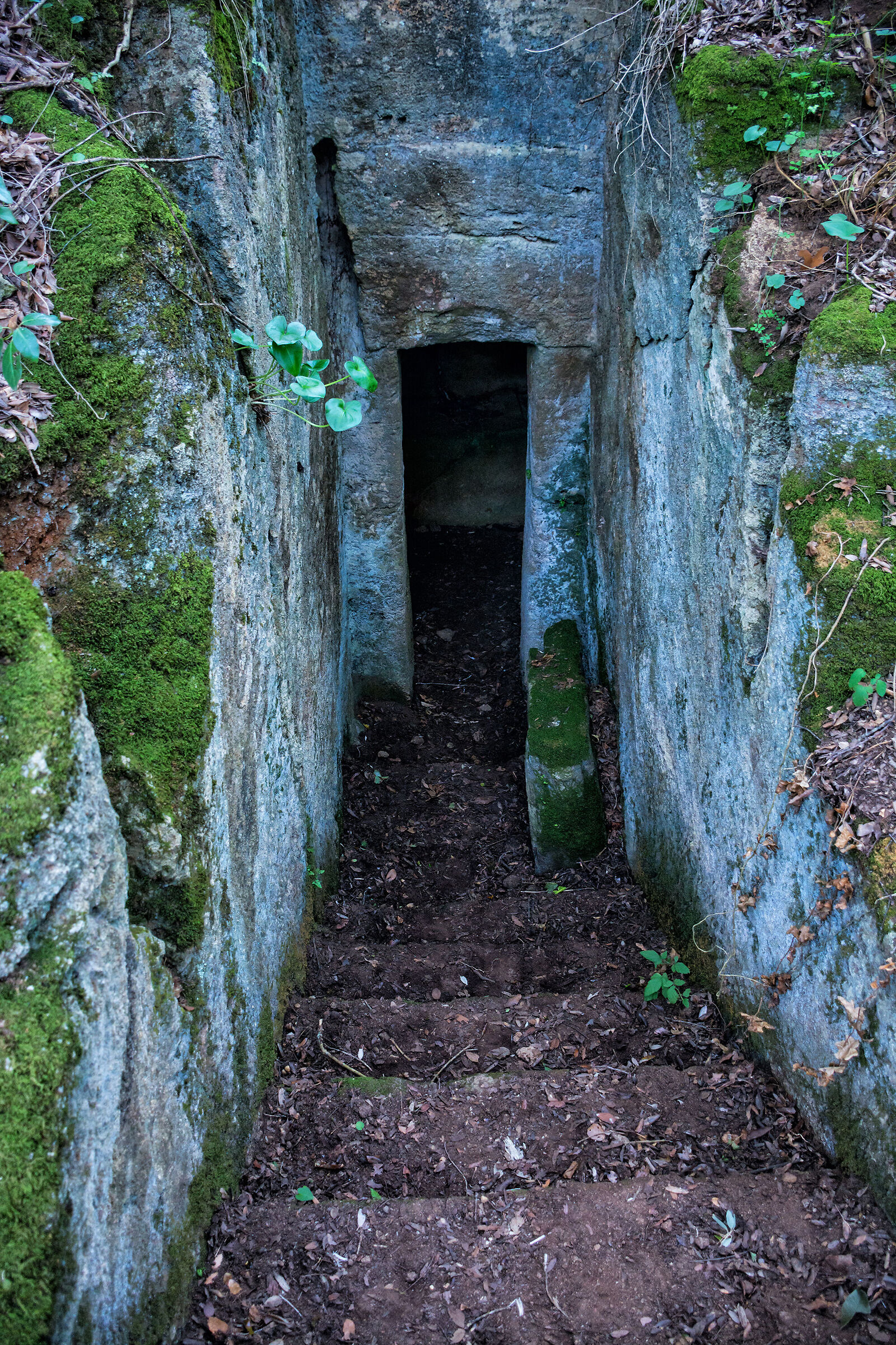 Towards the world of the dead