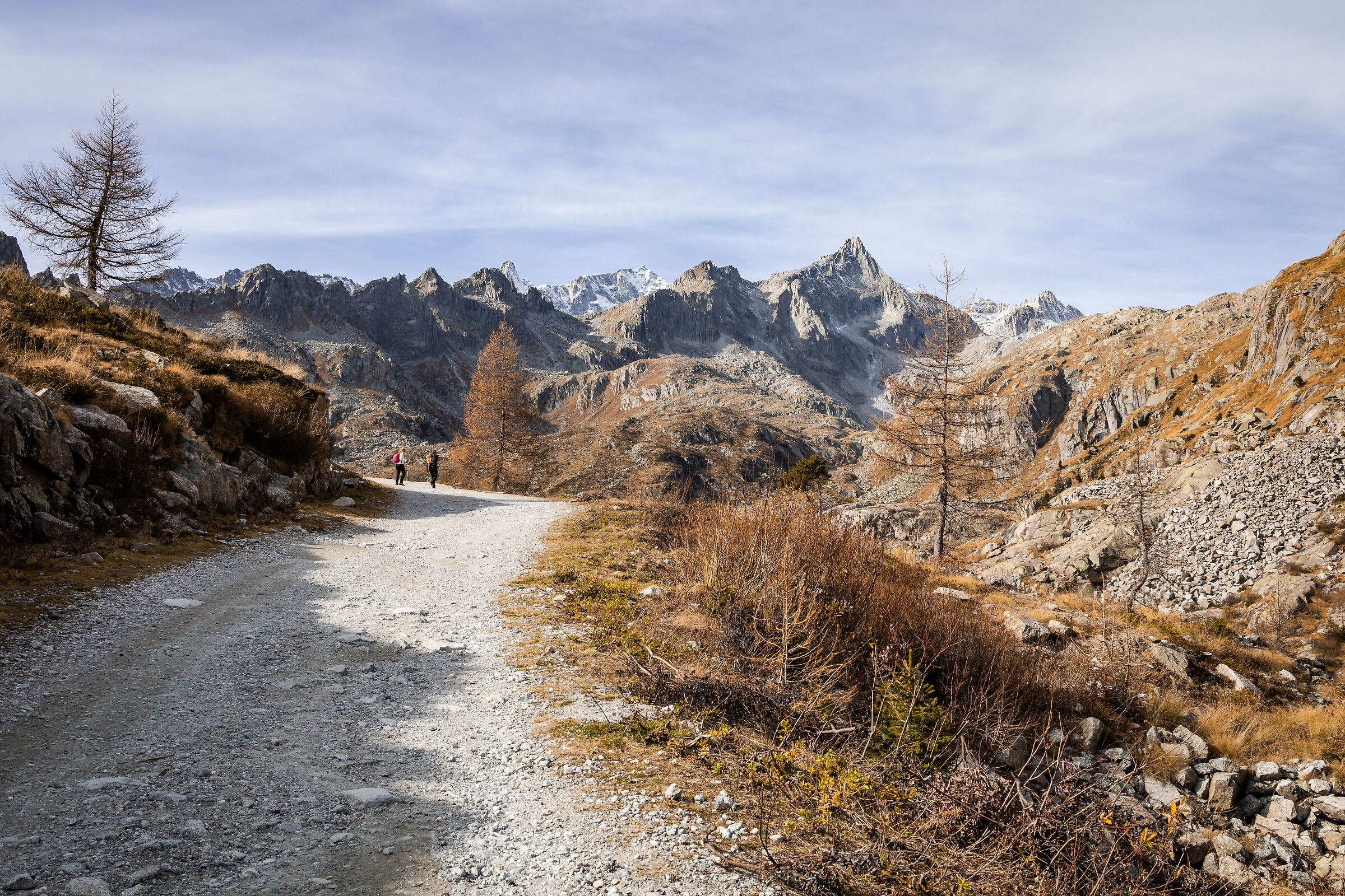 Path Rifugio Cornisello