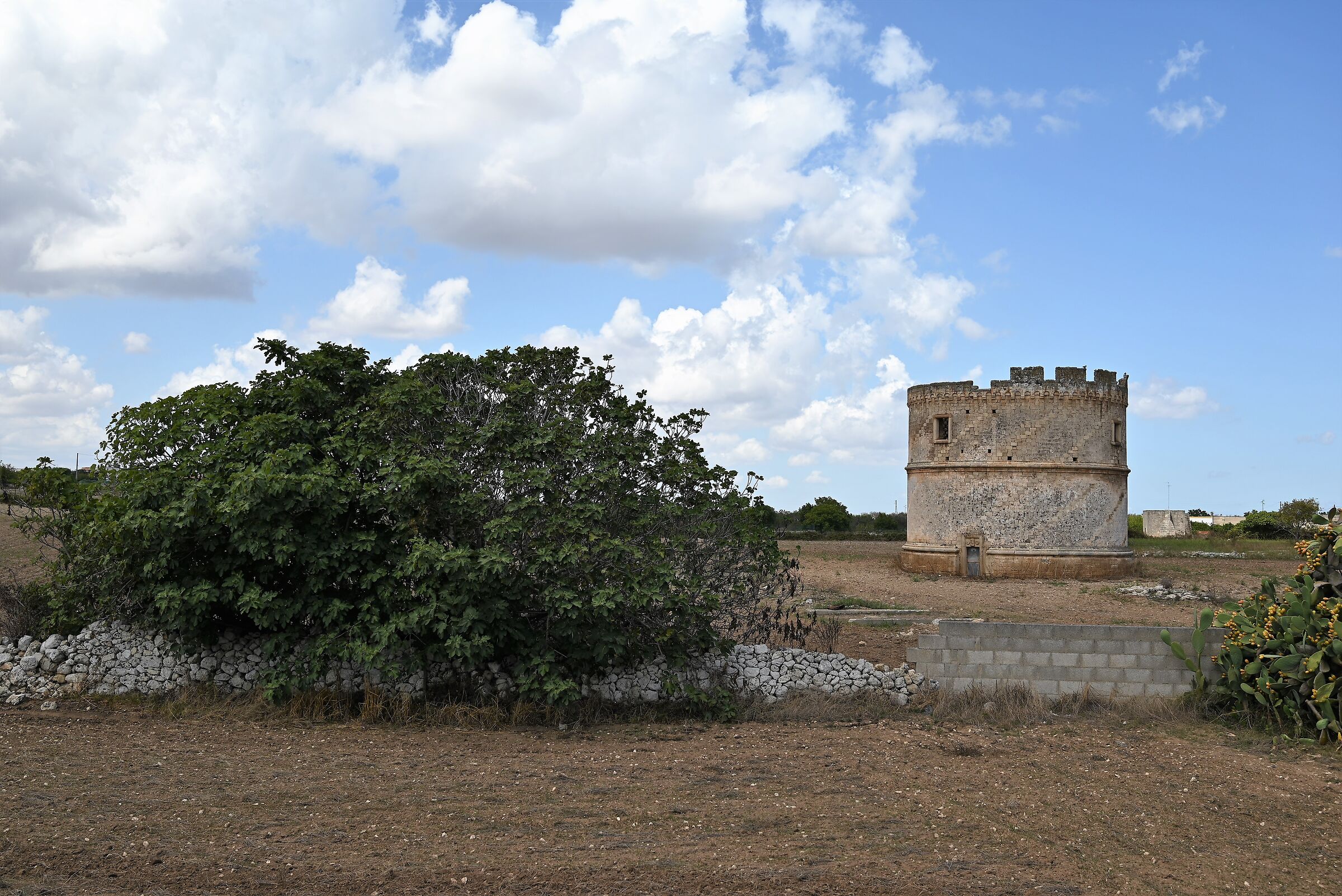 Torre Colombaia - Apulia