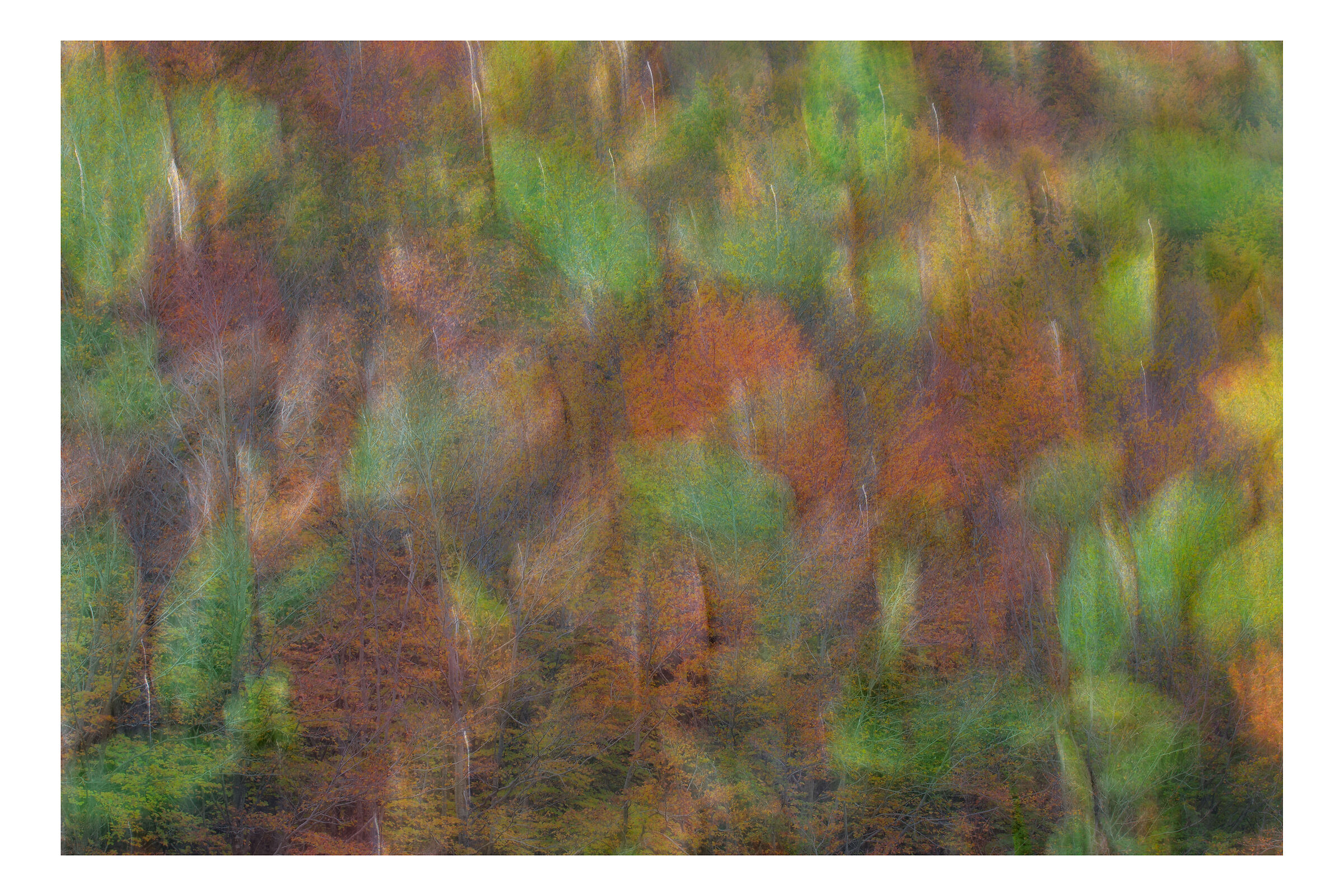 Memories from the past