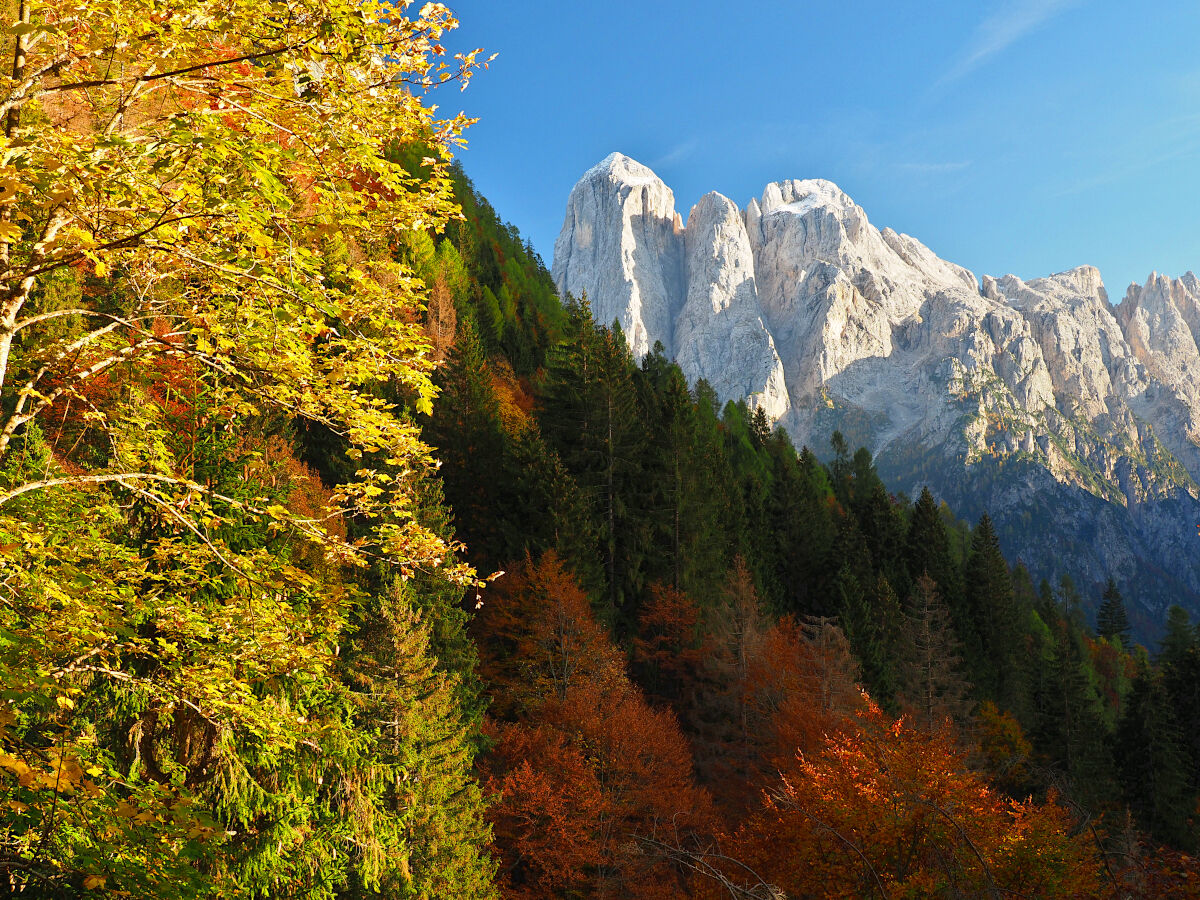 Foliage e monti pallidi