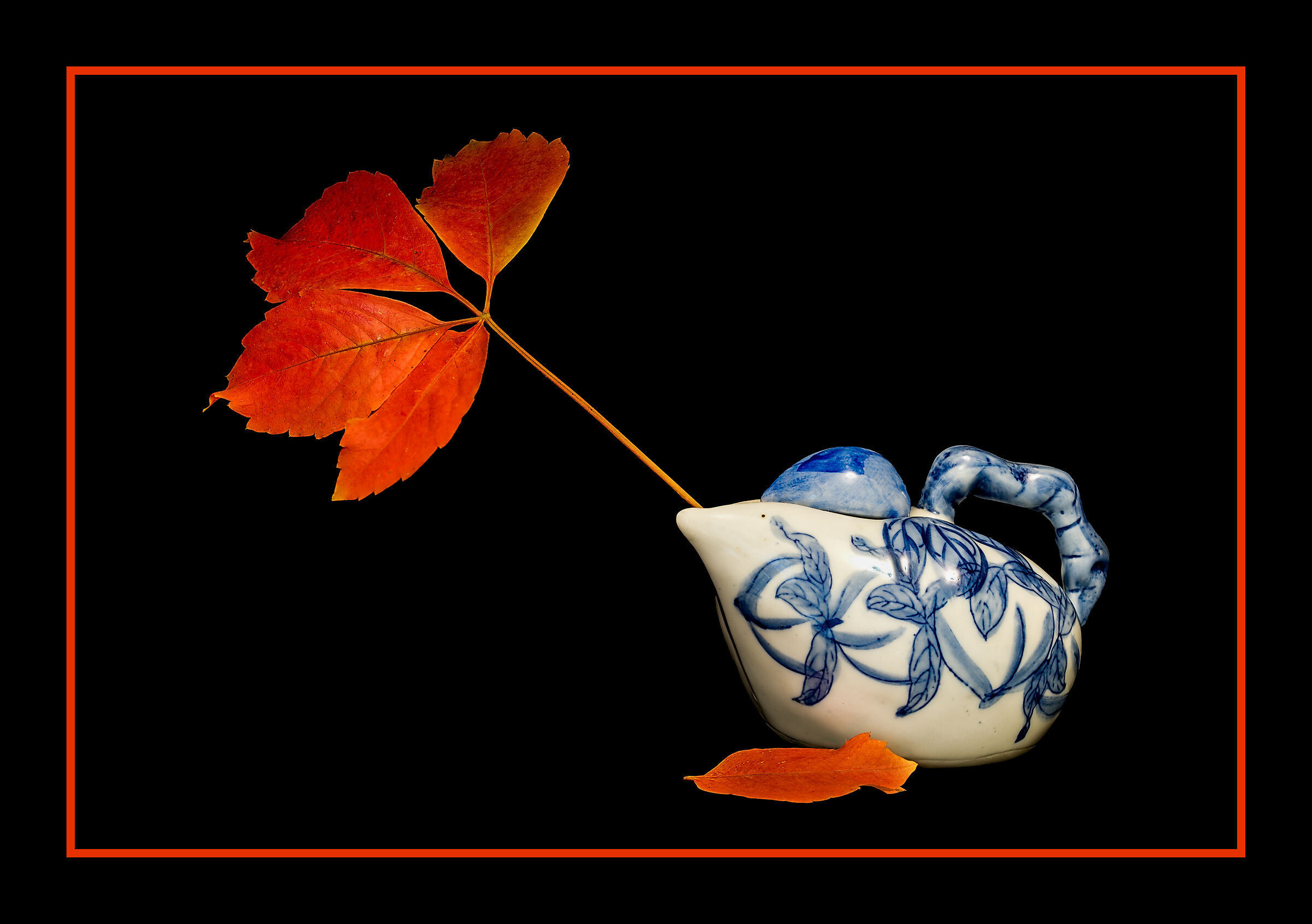 How beautifully the leaves age ...