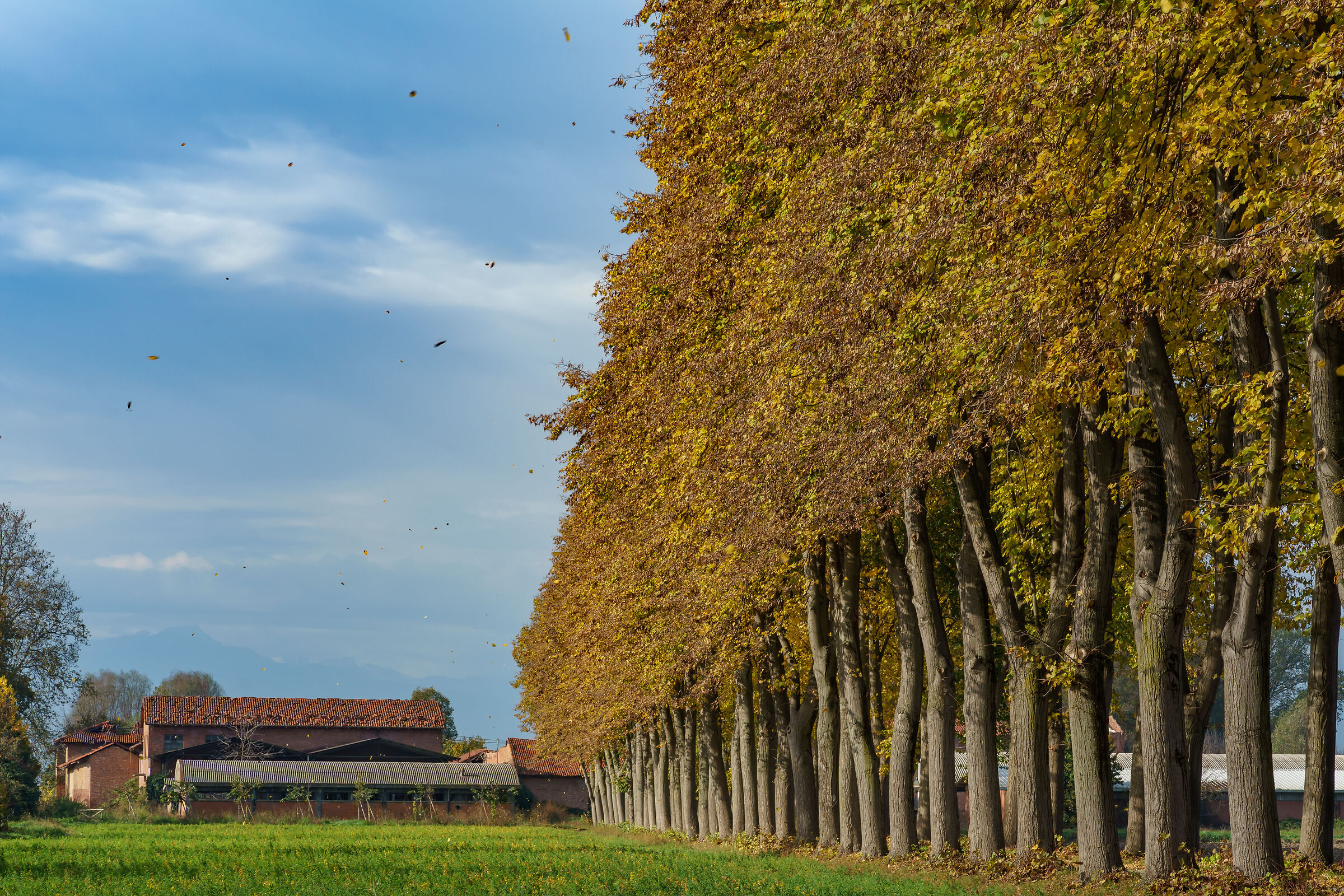 Verso la Cascina del Merlino 4
