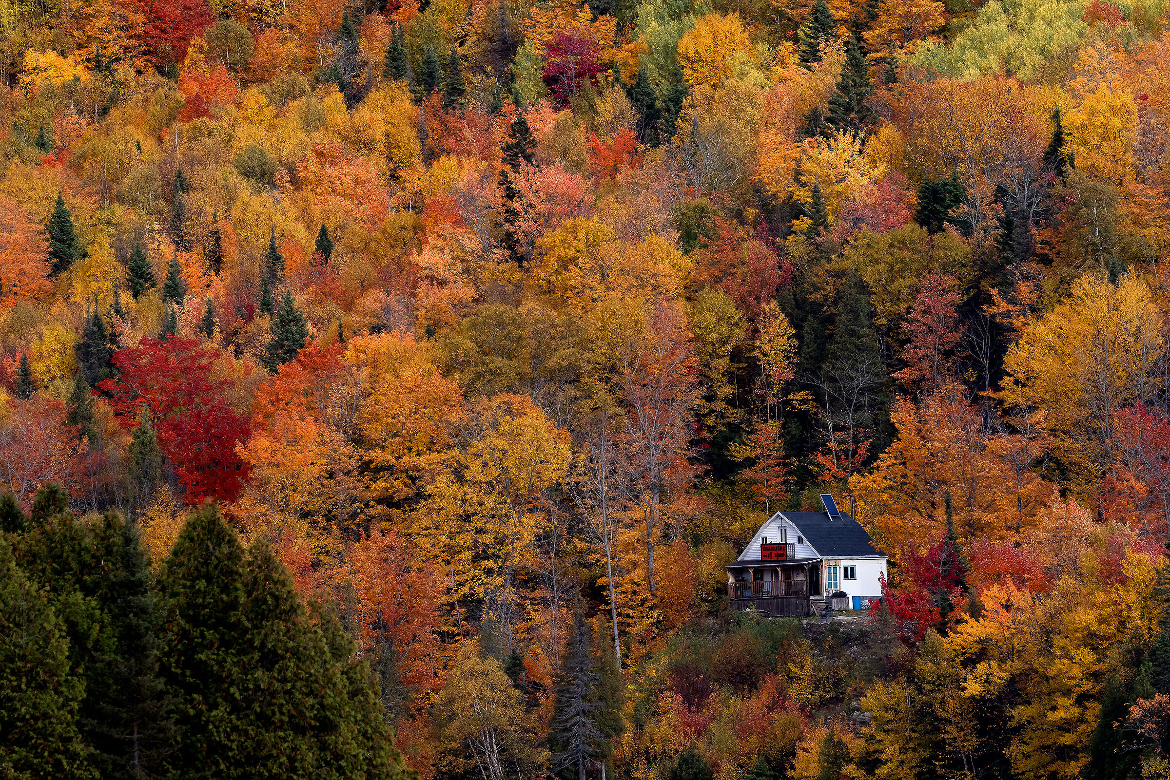 The little house in Canada