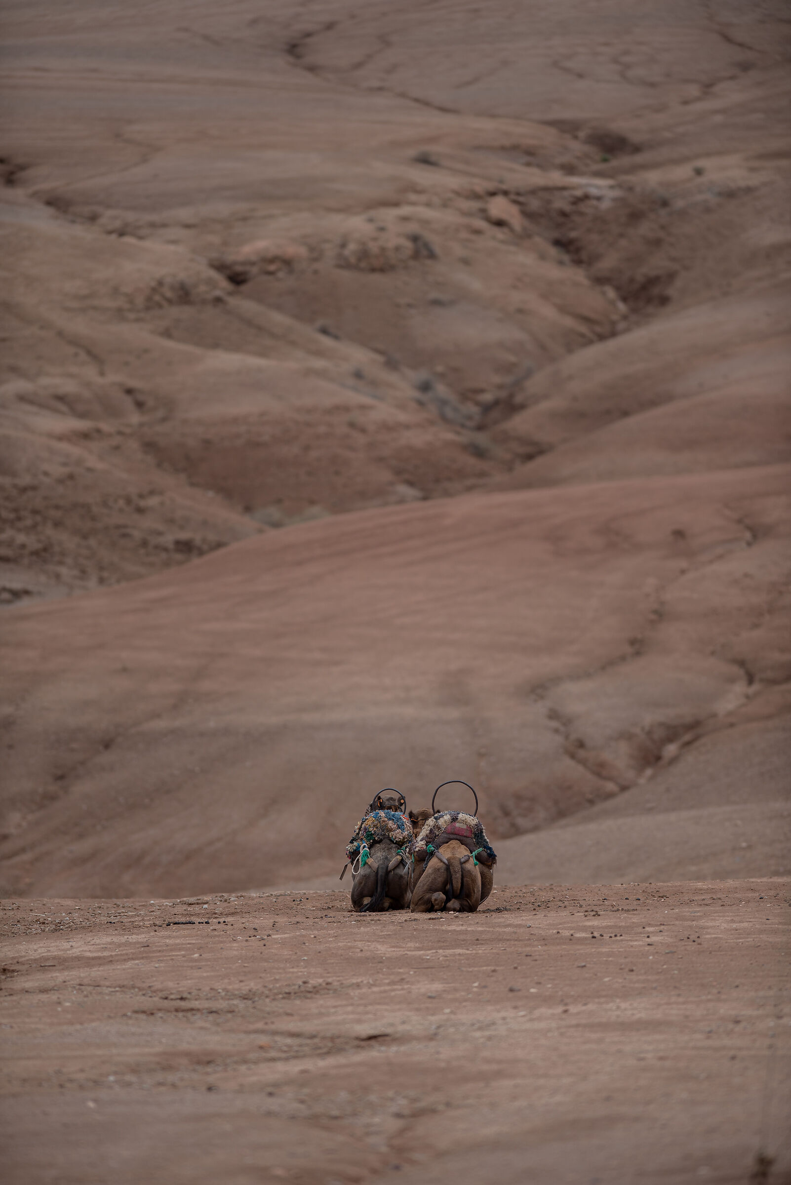 4x4