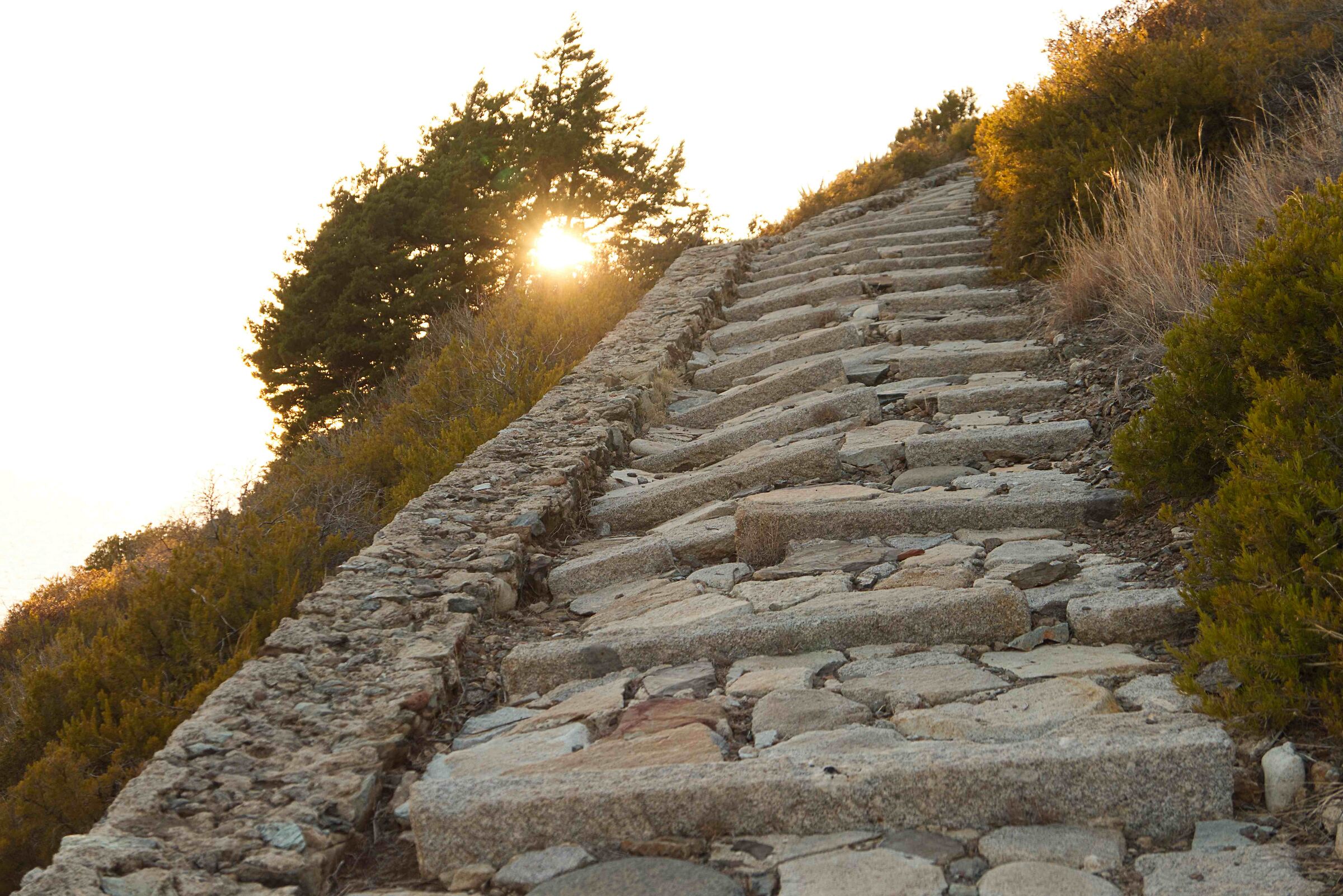step by step