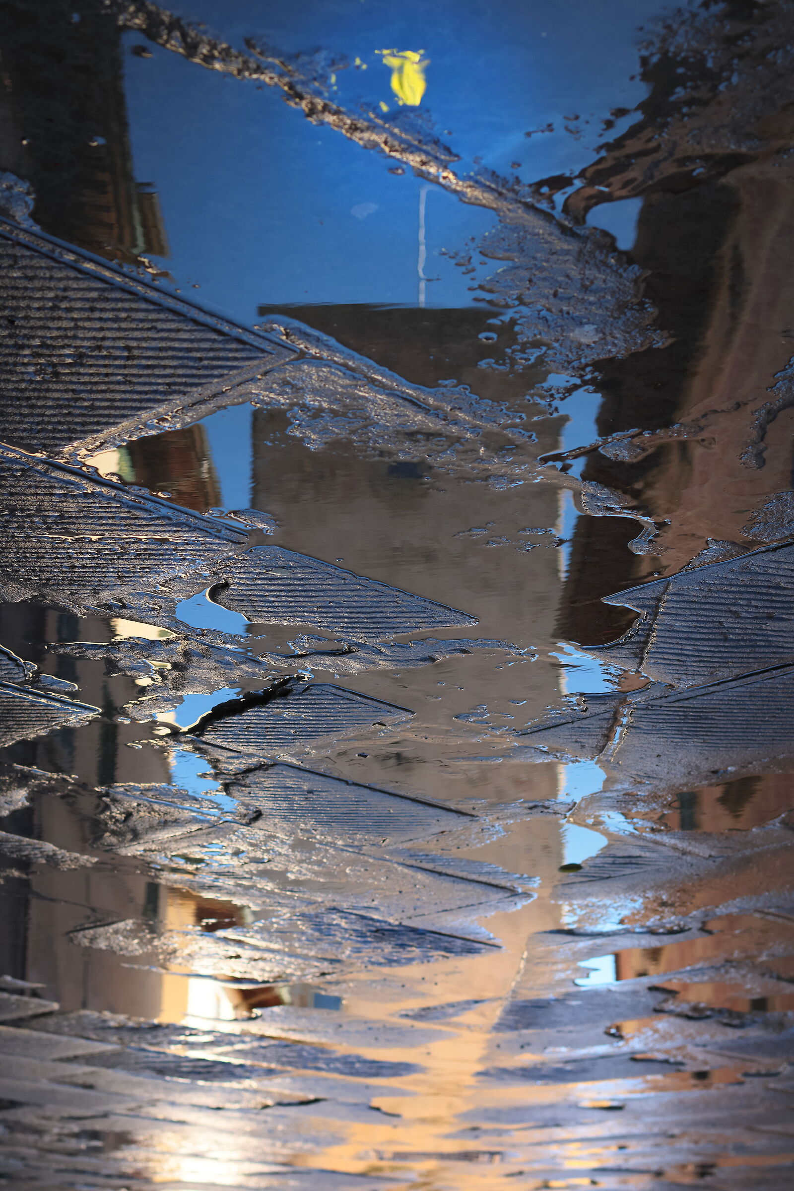 Torre Guinigi  ore 11:40