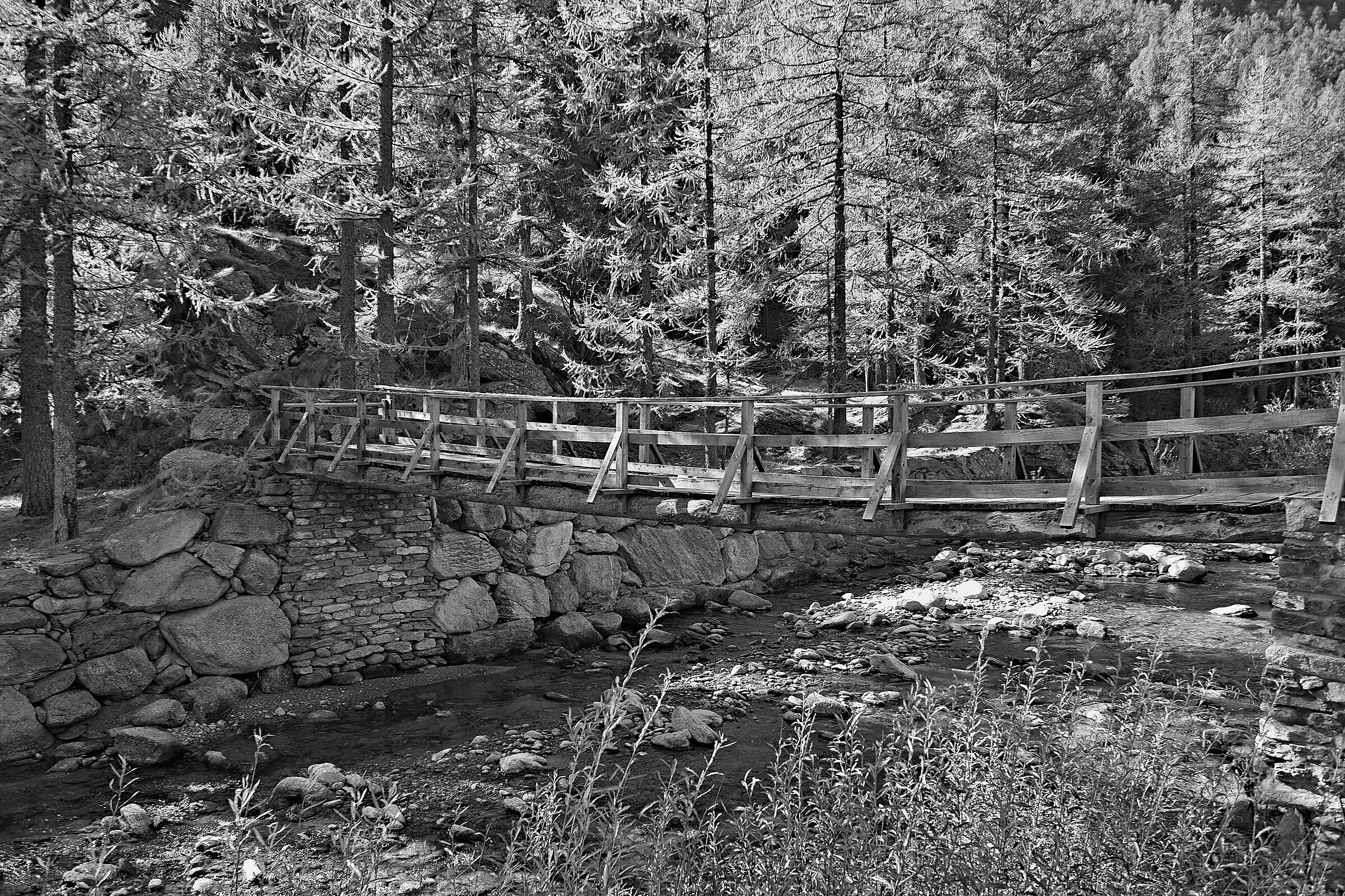 Bridge over the Orco stream Gran Paradiso Park
