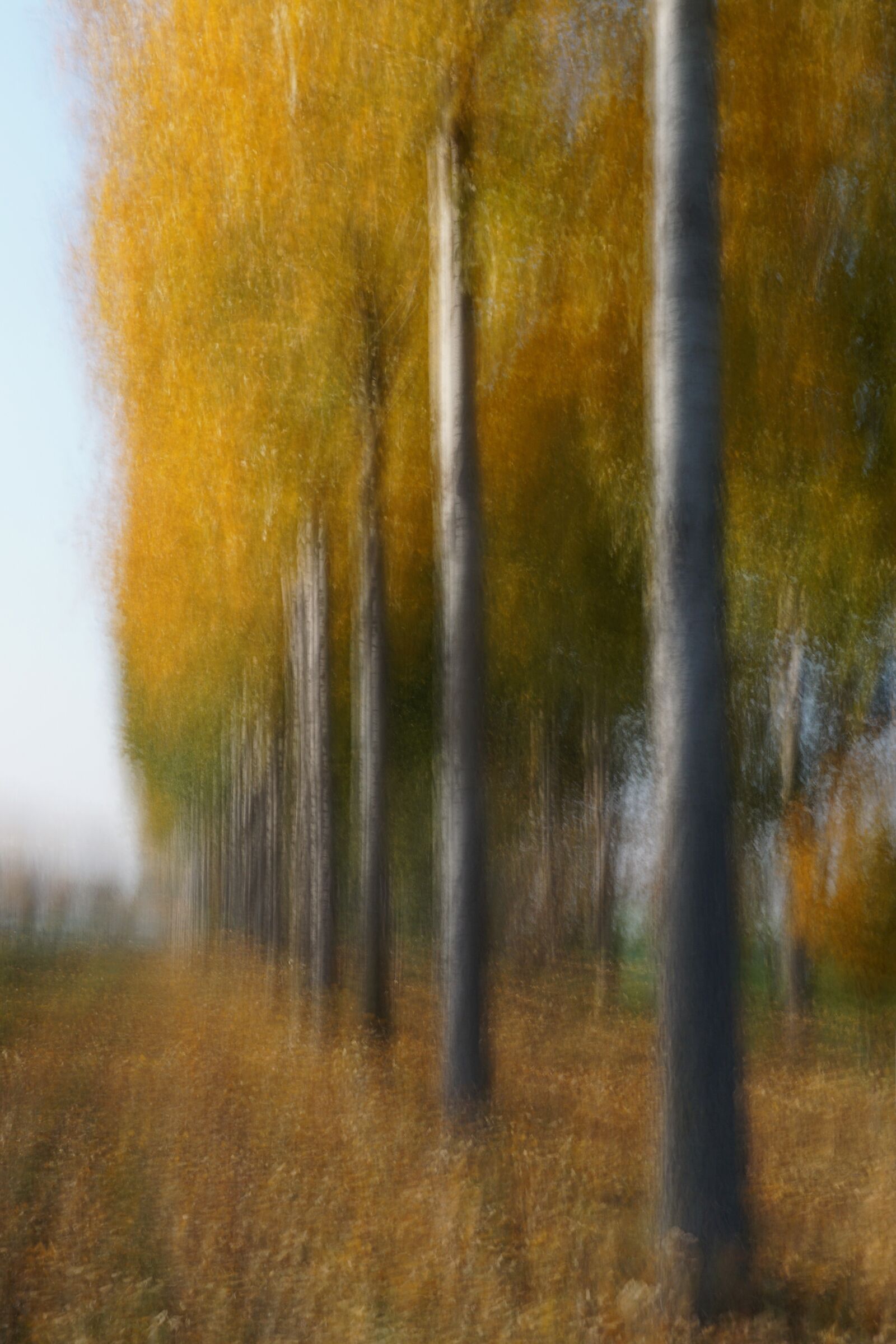 Last glimpses of autumn