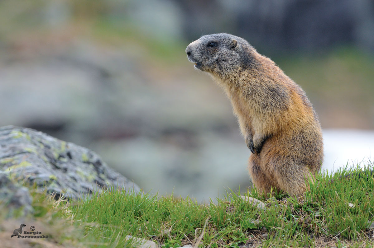 When they hit you where it would be better to avoid!