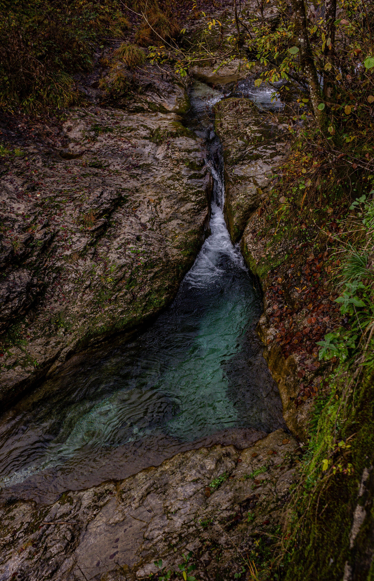 Vertova Valley