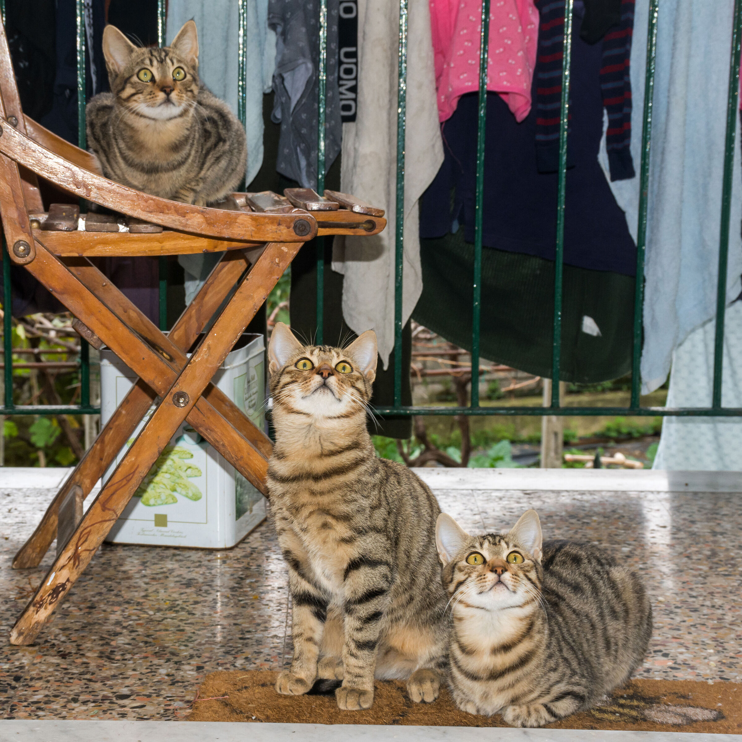 The Three Mischievous