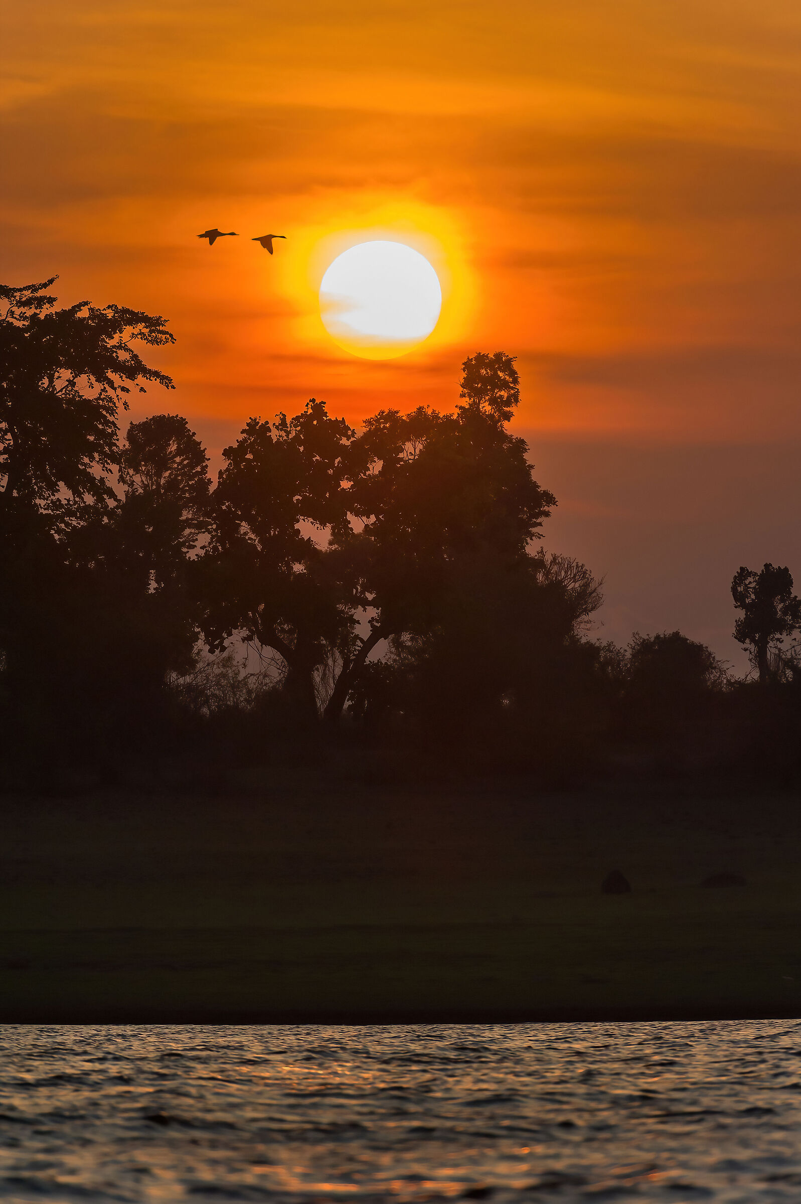 Tramonto sul fiume Kabini