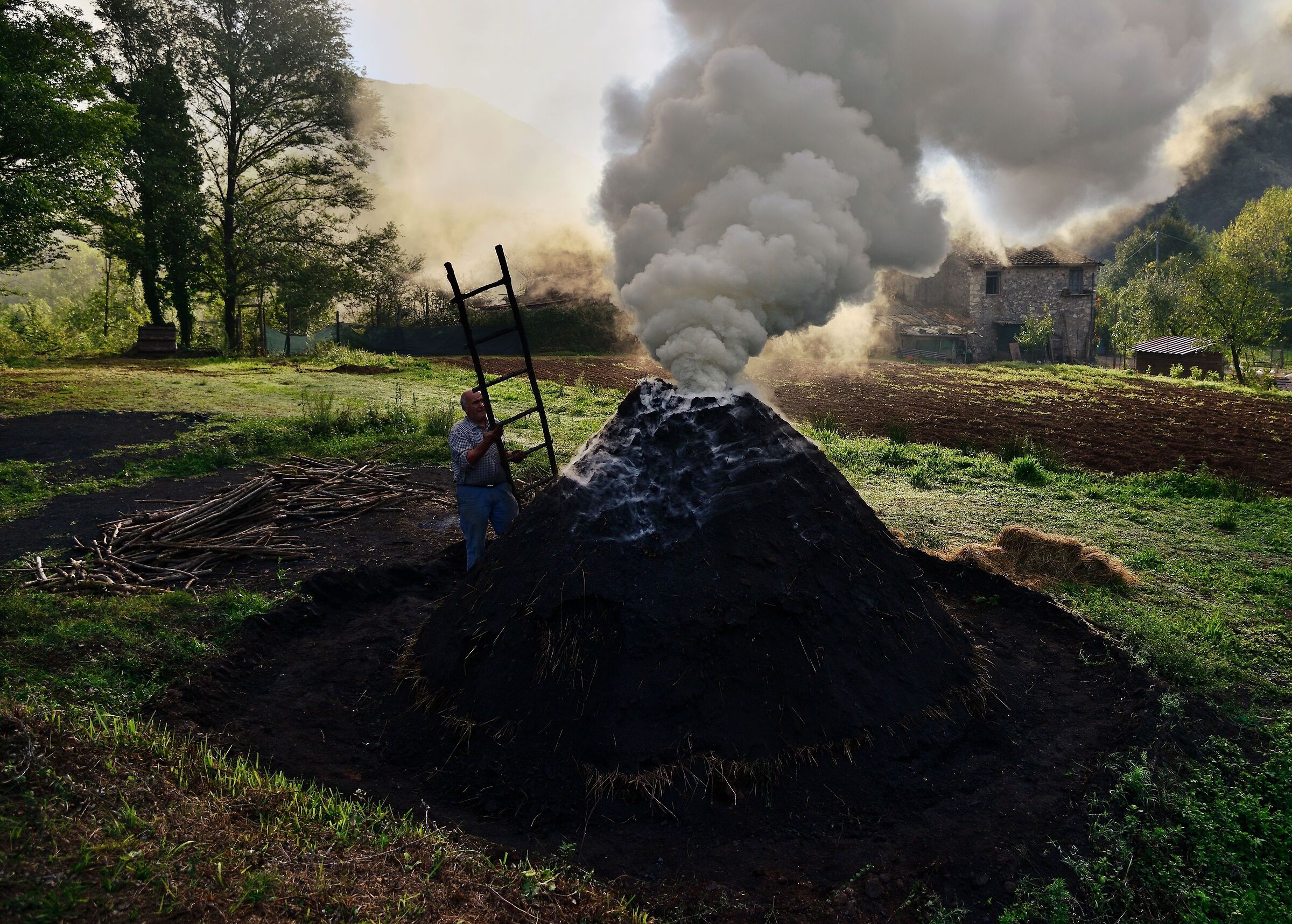 the Charcoal Burner landscape