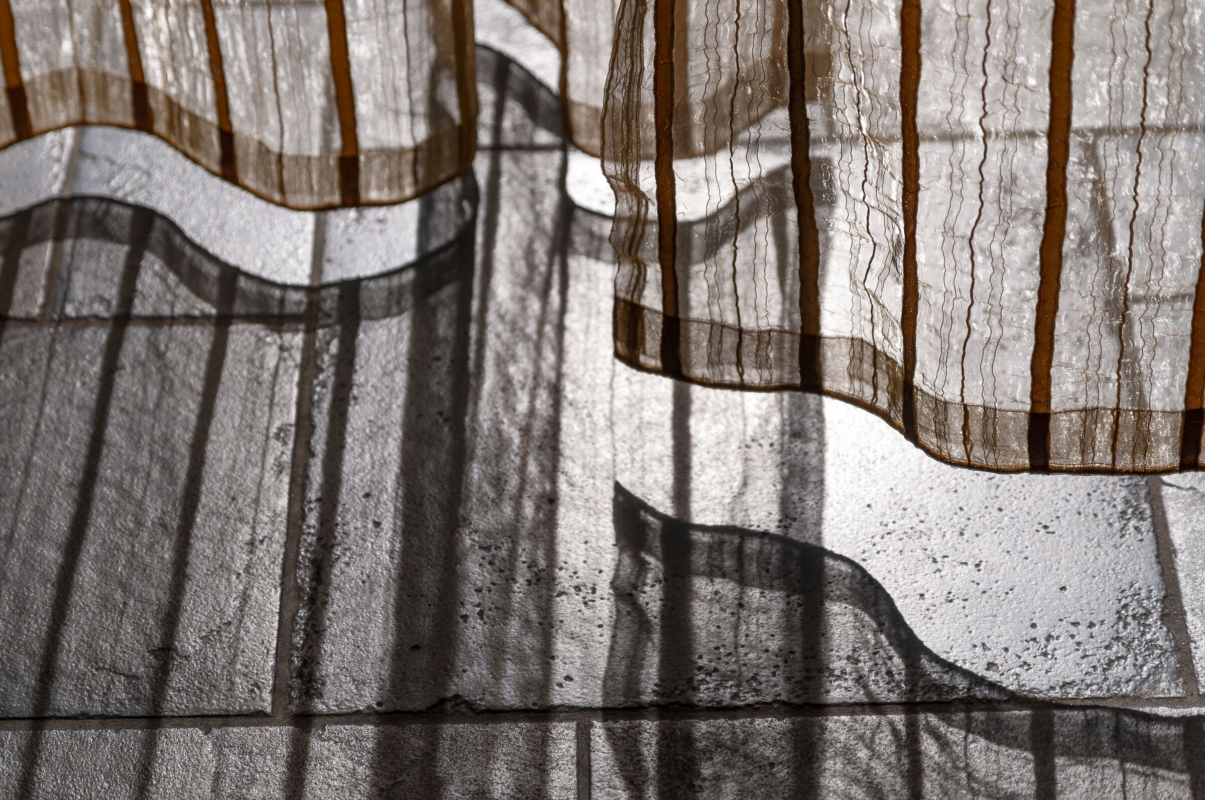 carboncino e sanguigna in orizzontale