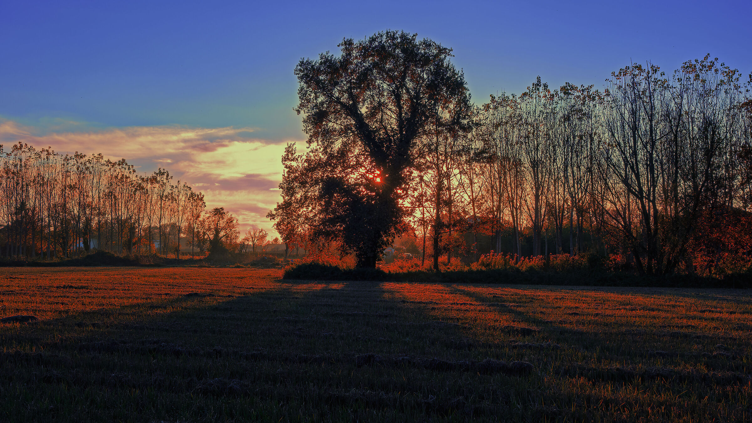 A sunset in November